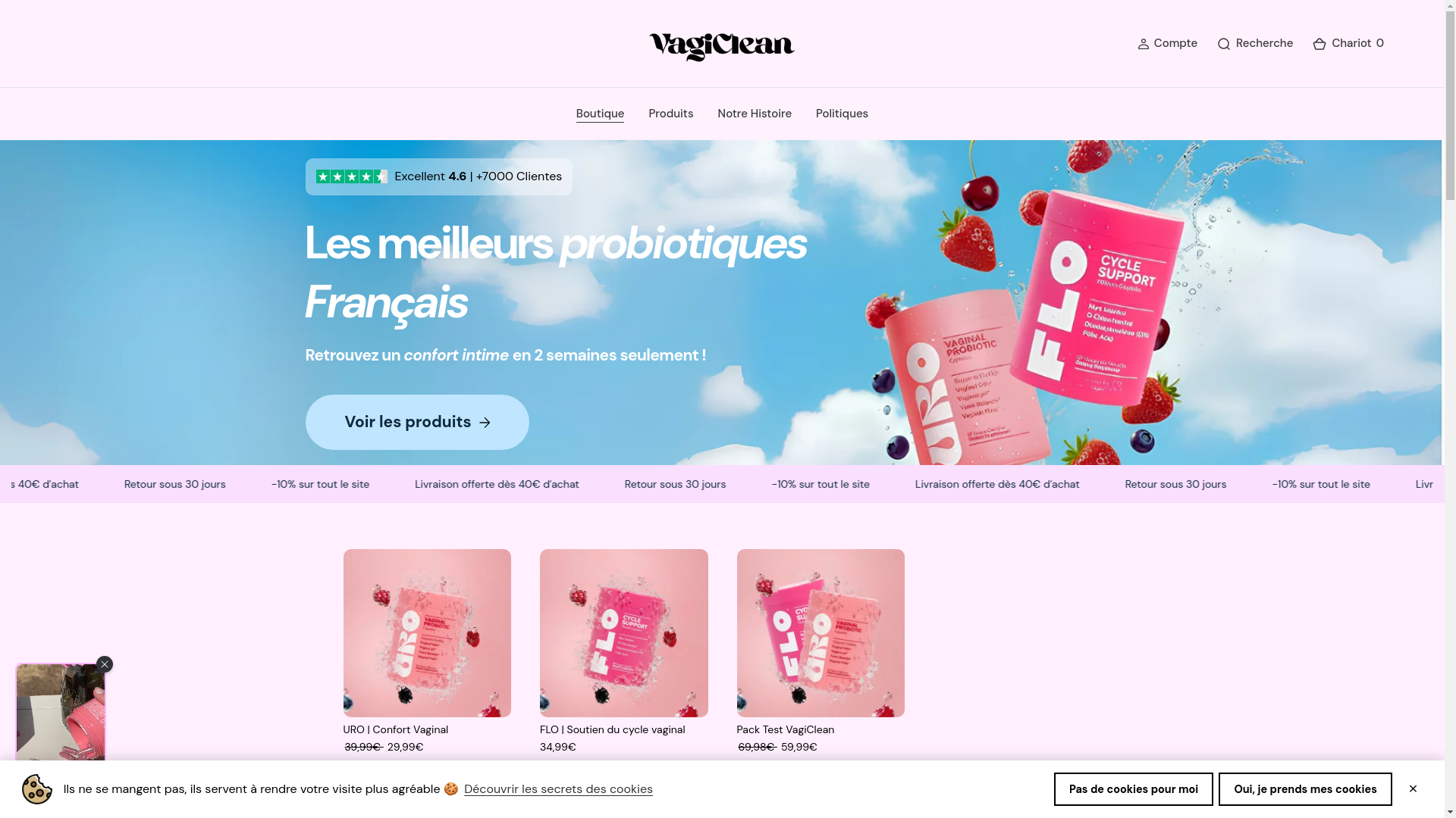 website screenshot of https://vagiclean.fr/