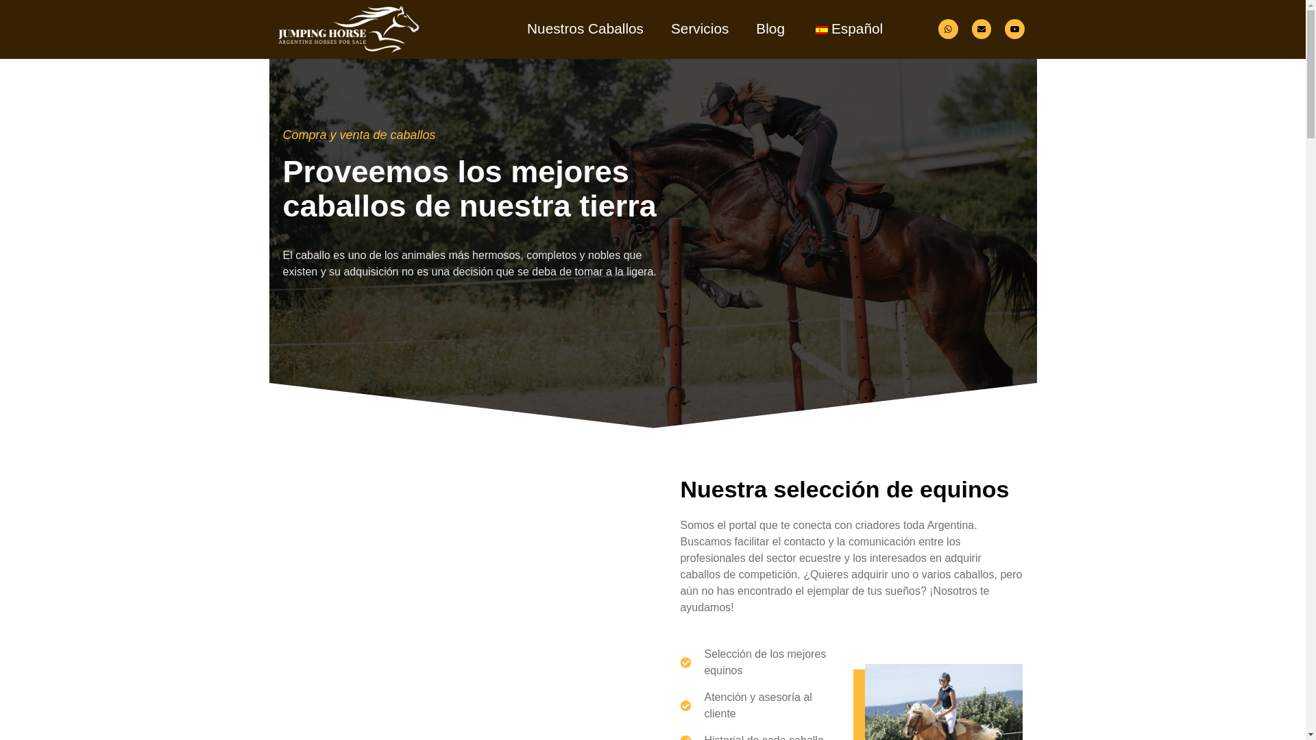 website screenshot of https://lomascercademi.com.ar/