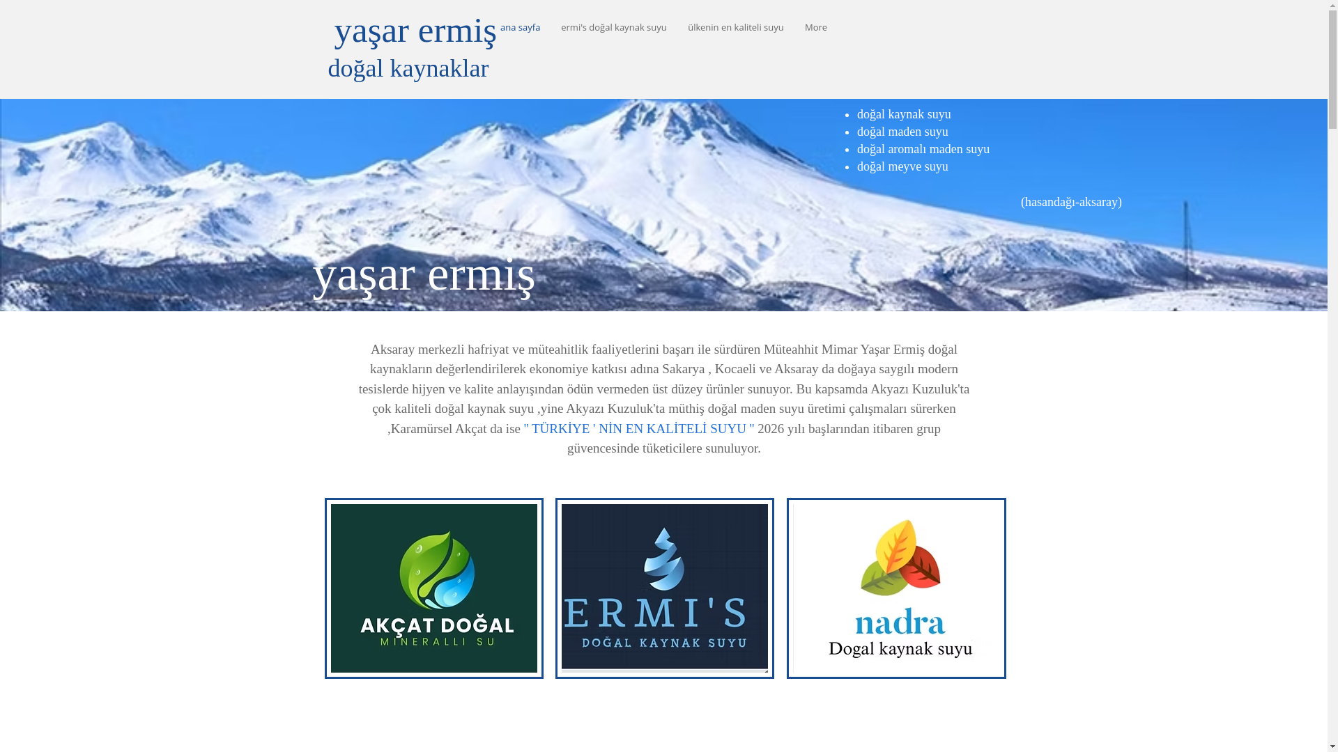 website screenshot of https://yasarermis.com/