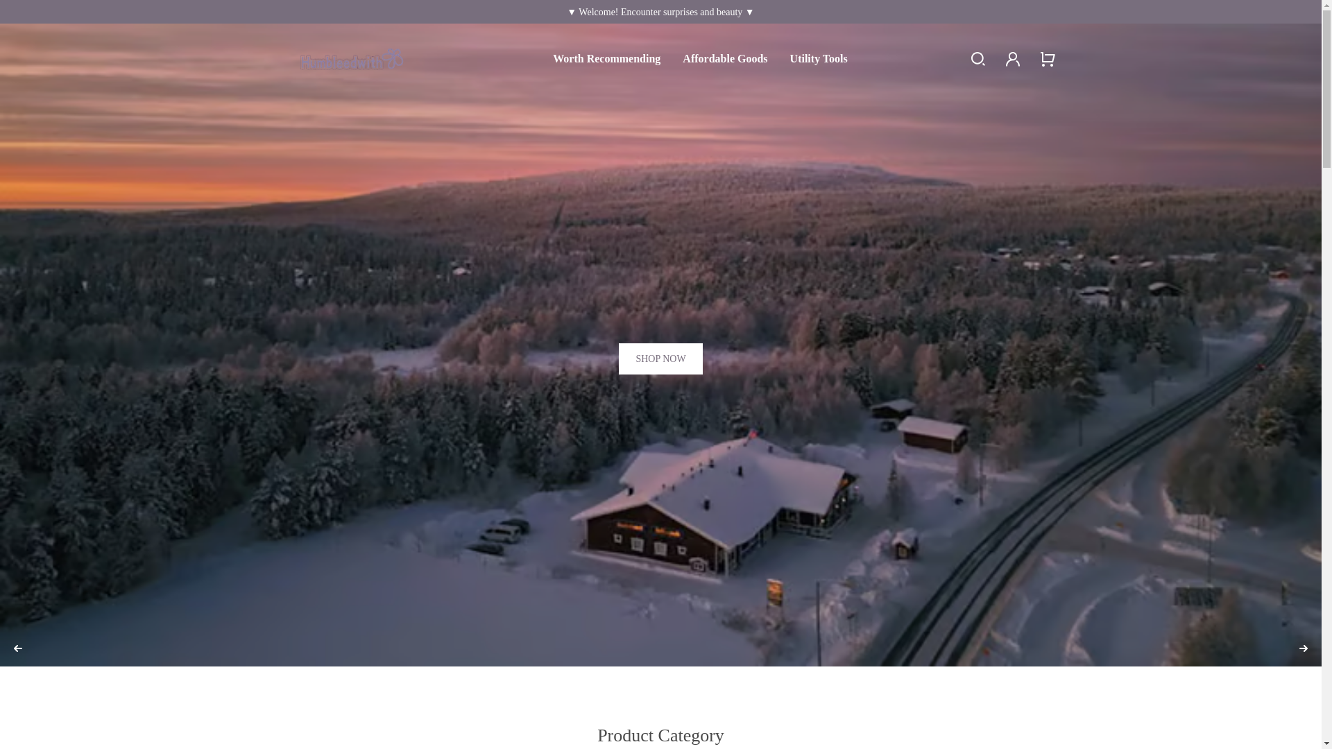 website screenshot of https://promoteliter.com/