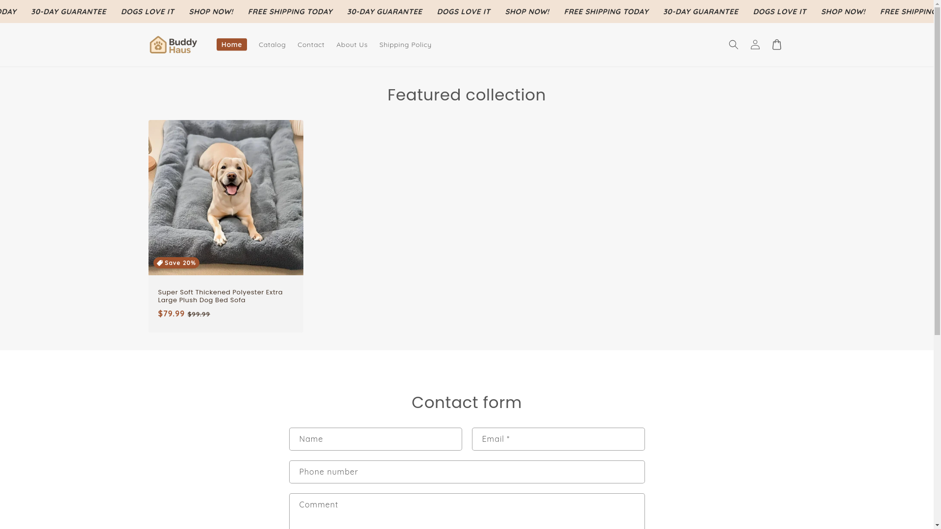 website screenshot of https://buddyhaus.com/