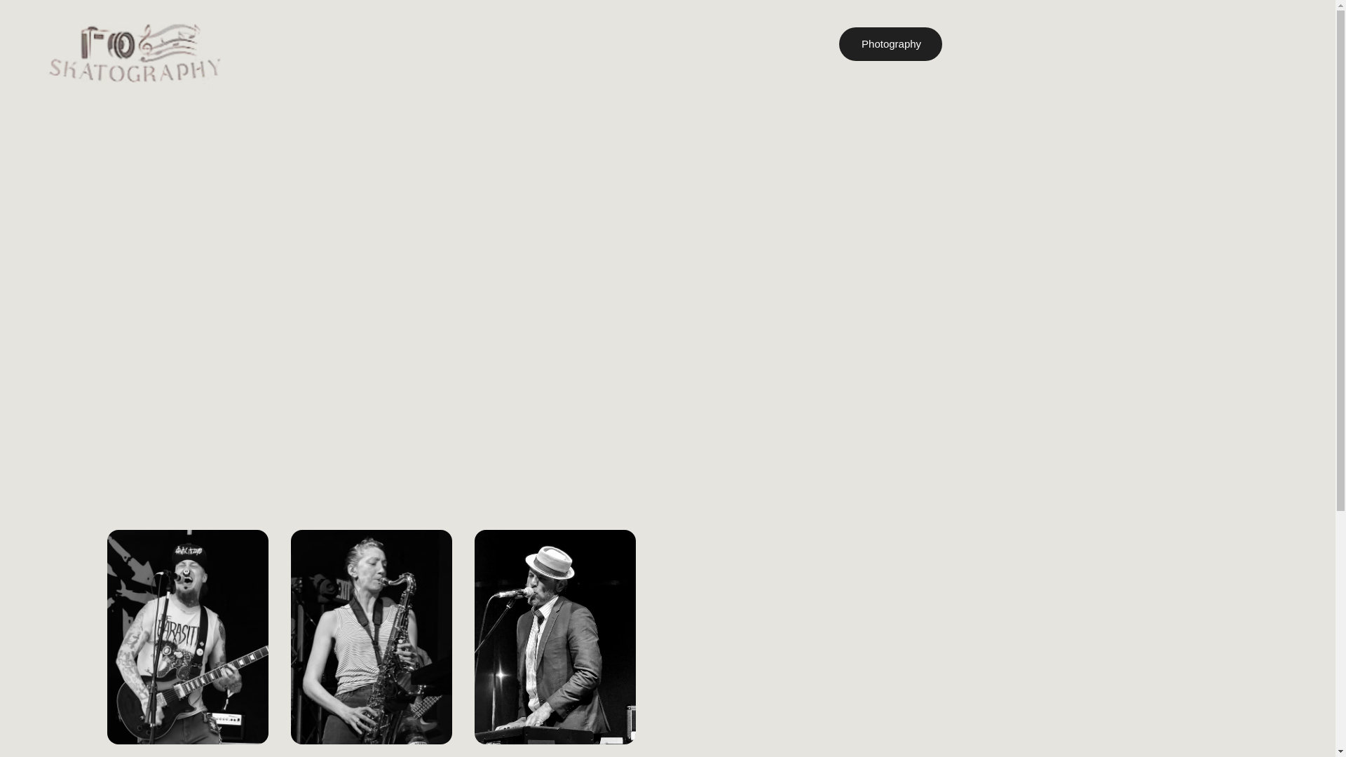 website screenshot of https://dawnfitzphotos.com/