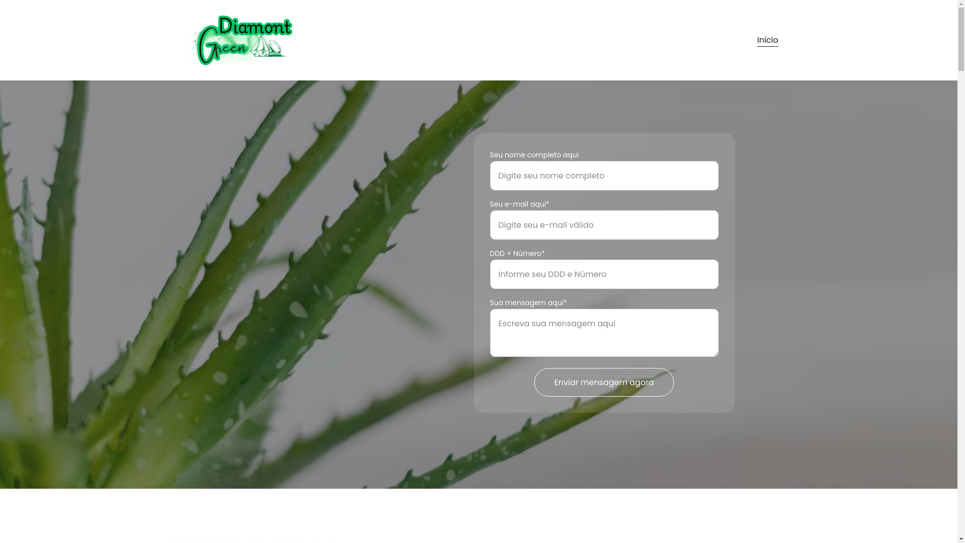 website screenshot of https://diamontgreen.com.br/