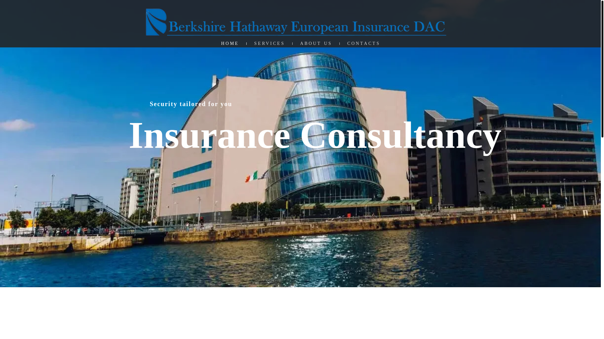 website screenshot of https://berkshirehathawayeuropeaninsurancedac.com/