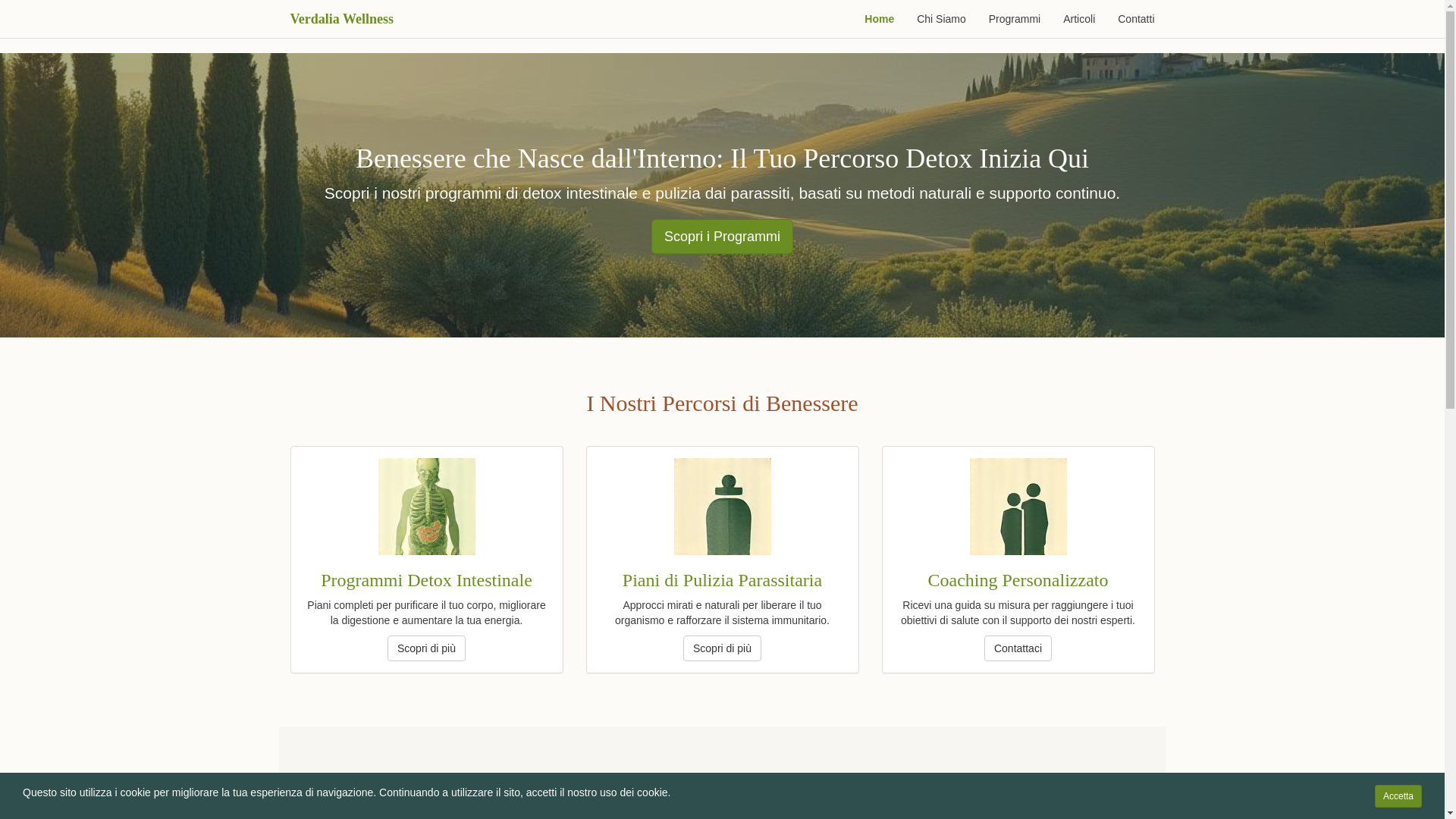 website screenshot of https://healthsphered.com/