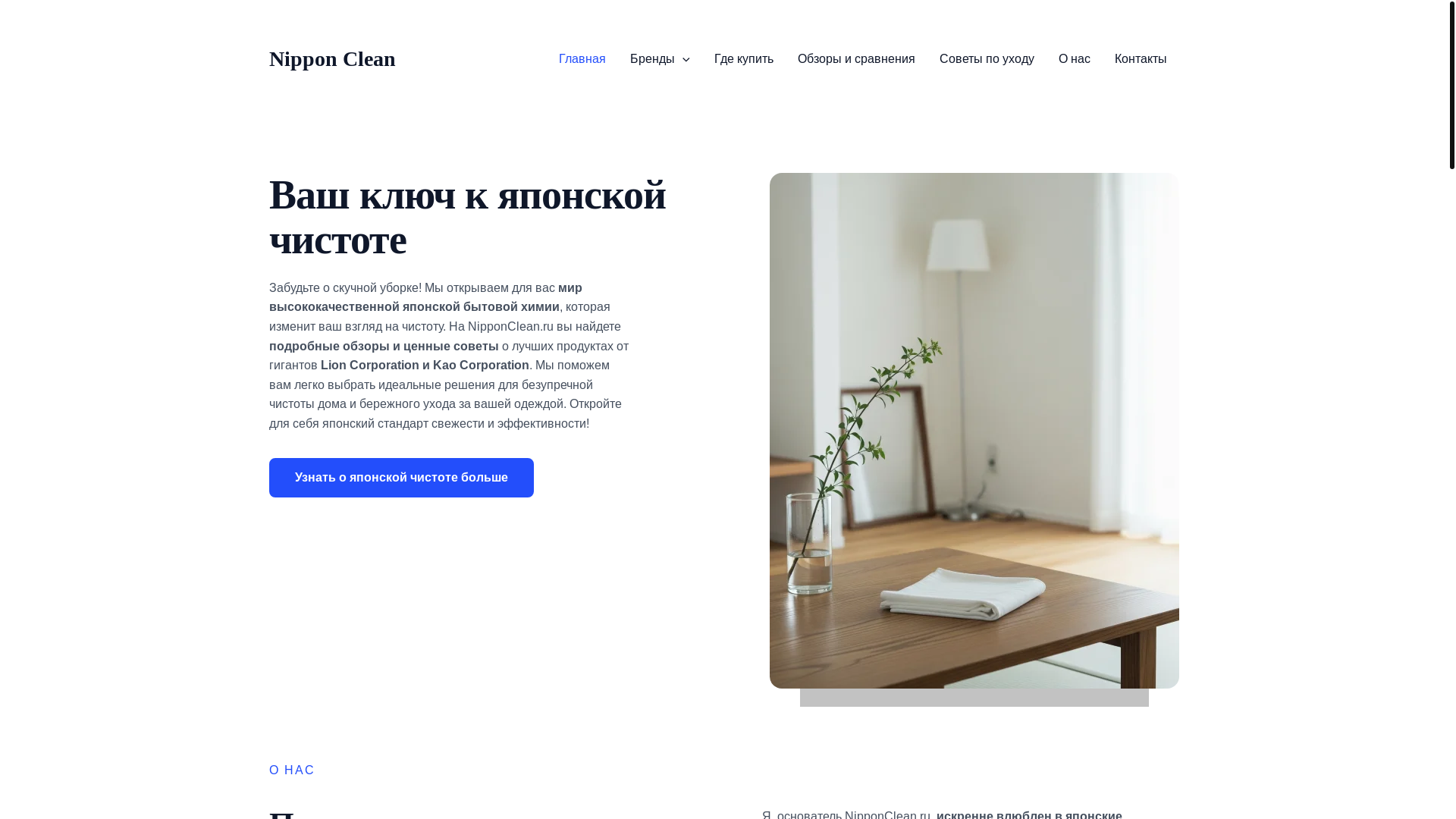 website screenshot of https://nipponclean.ru/