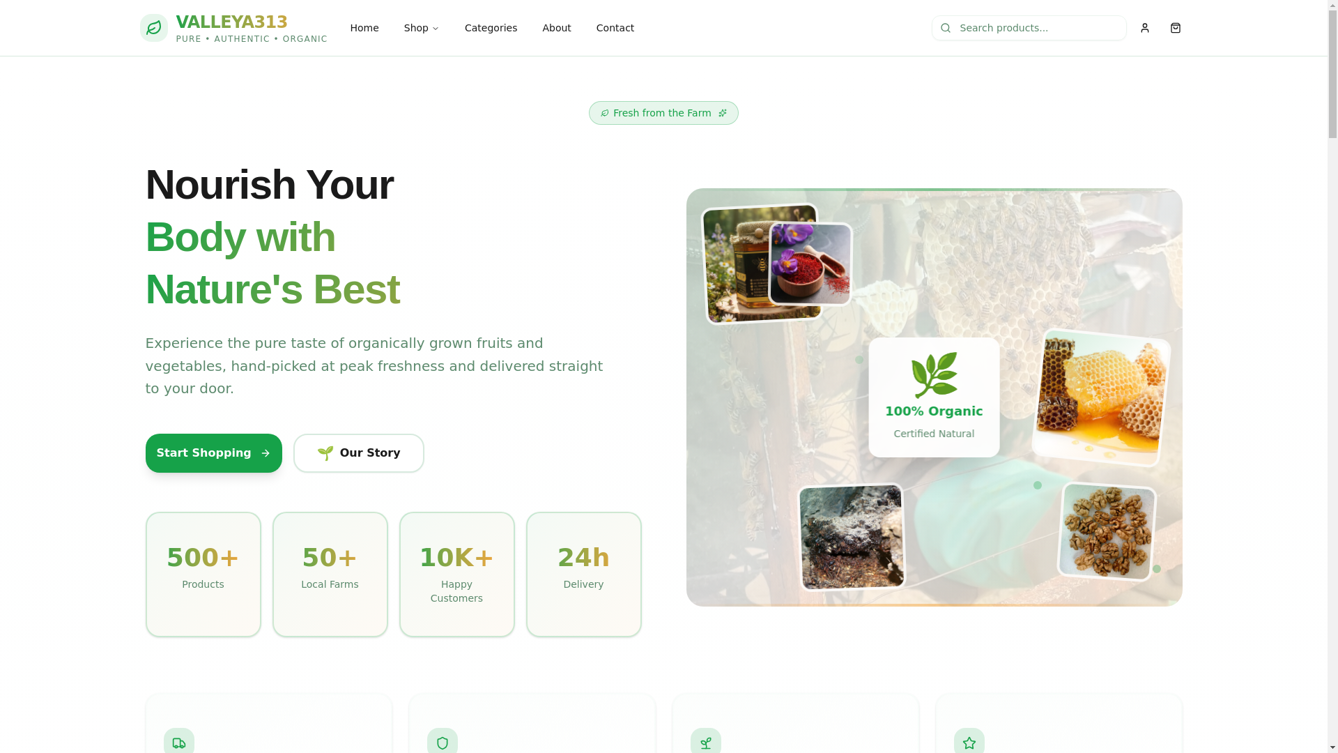 website screenshot of https://valleya313.pages.dev/