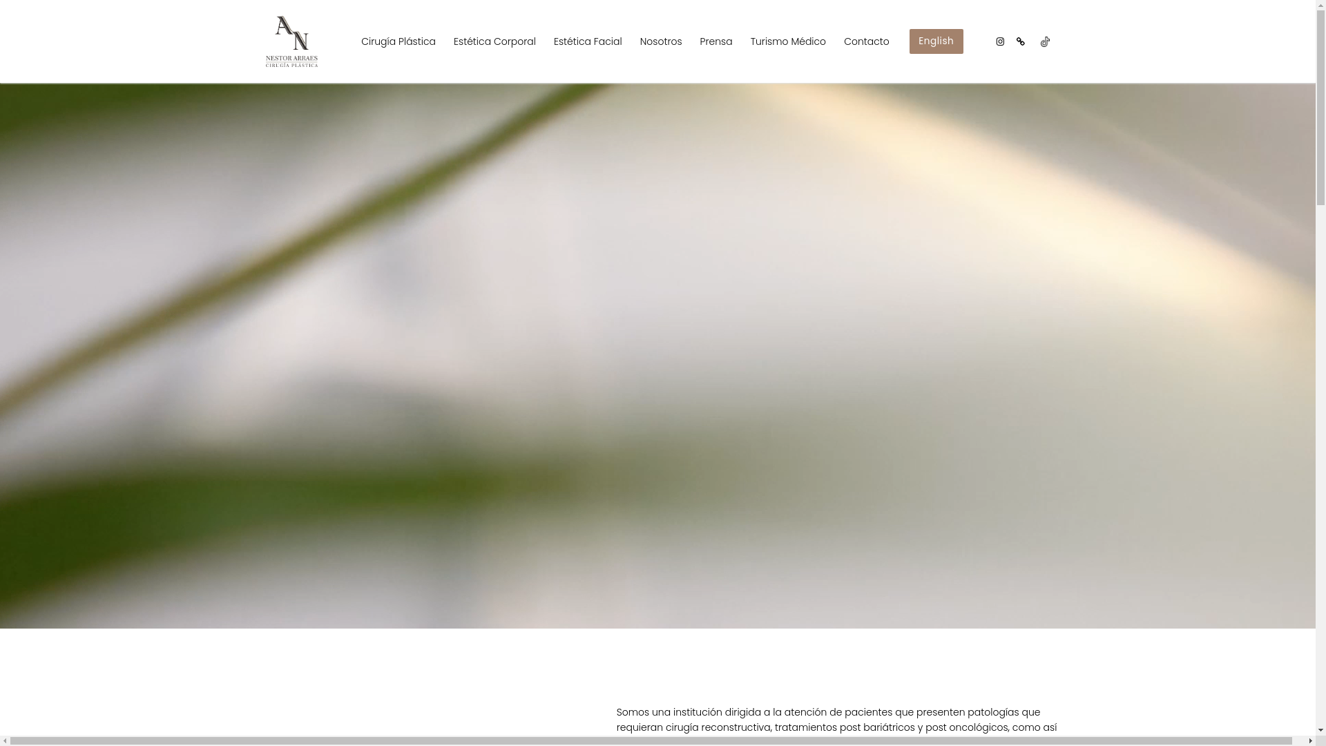 website screenshot of https://ancirugiaplastica.online/