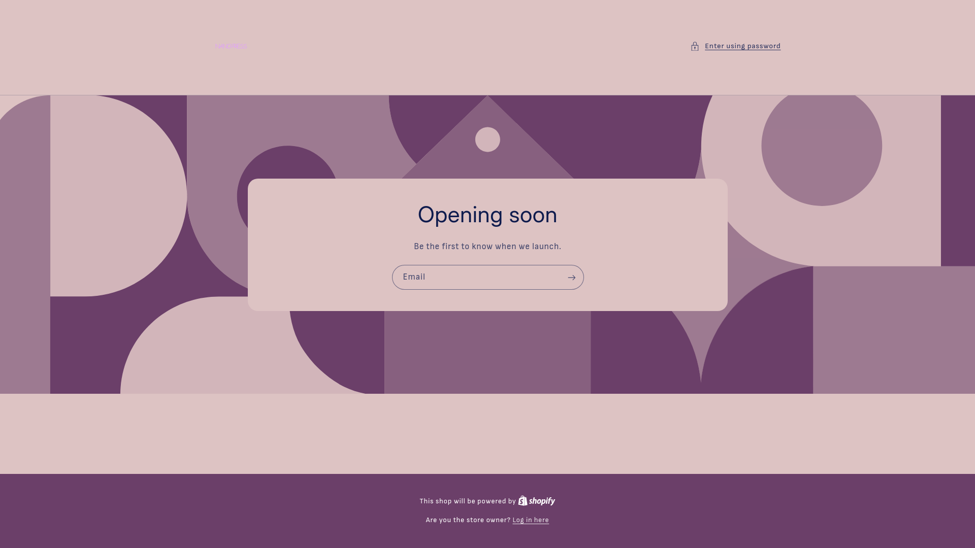 website screenshot of https://stxand.store/