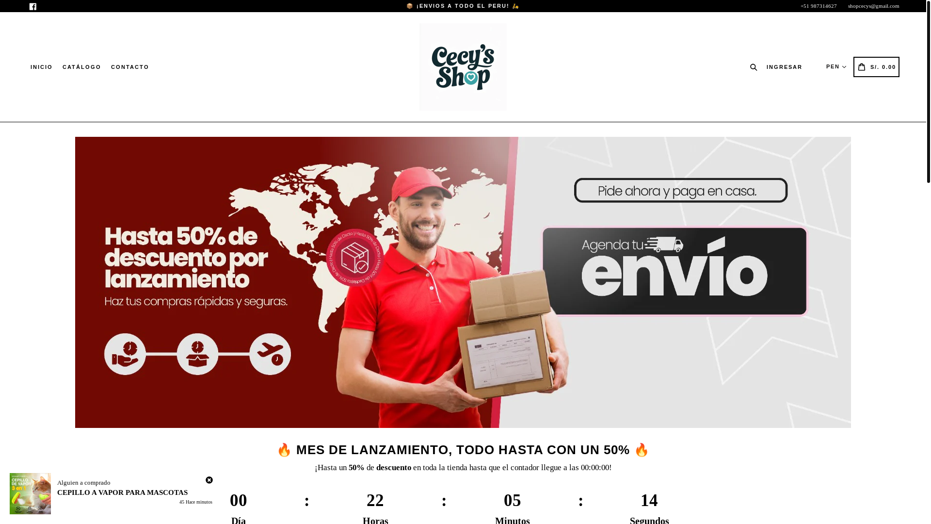 website screenshot of https://cecysshop.online/