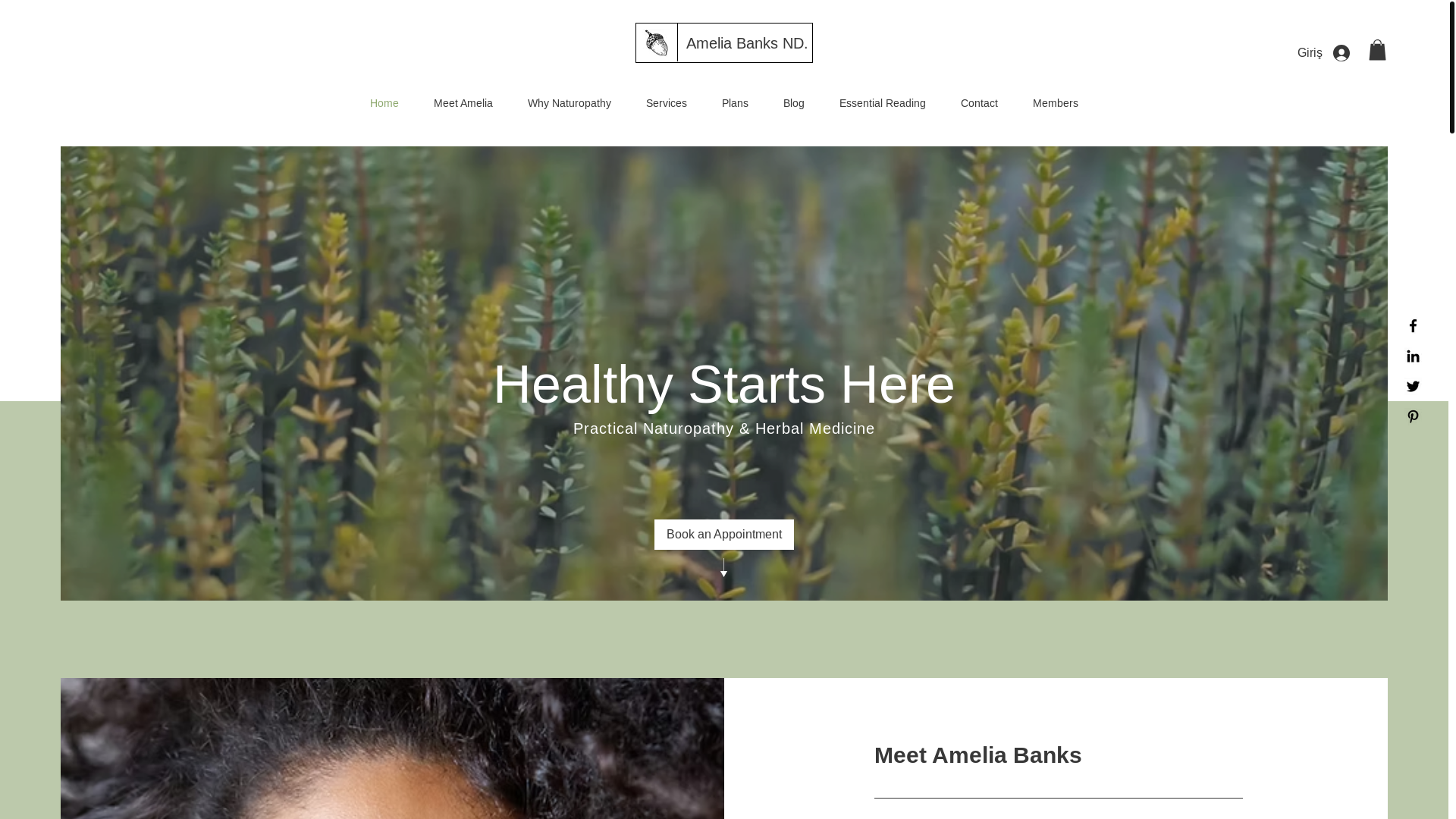 website screenshot of https://drnilaytanik.com/