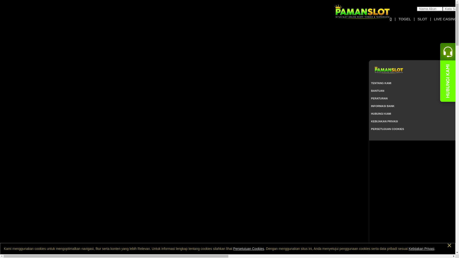website screenshot of https://pamanbyte.info/