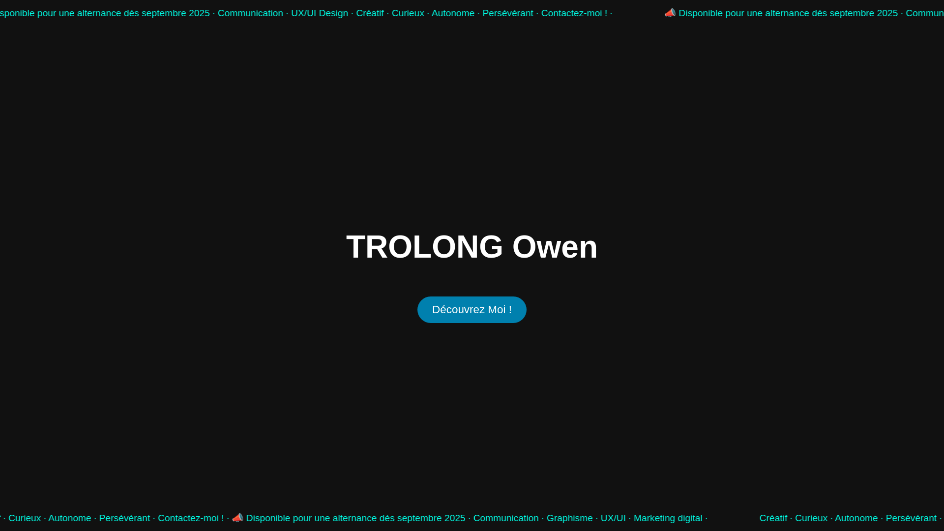 website screenshot of https://owentrolong.fr/