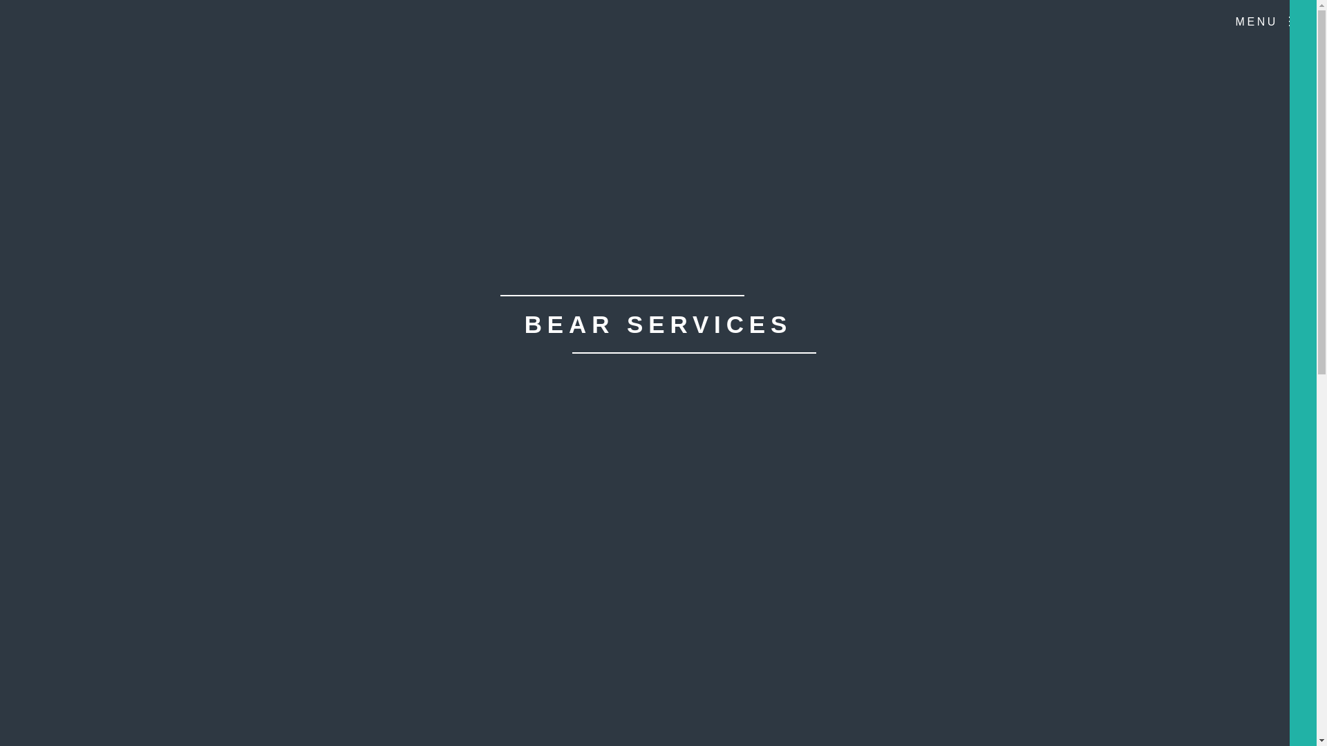 website screenshot of https://bearservices.cl/