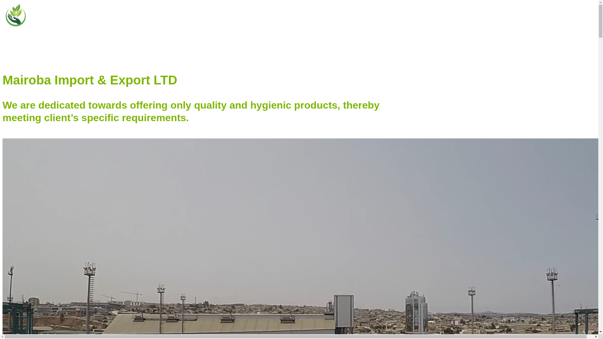 website screenshot of https://mairobaimpex.com/