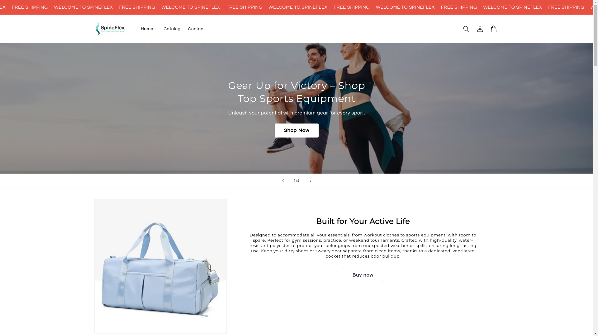 website screenshot of https://spineflex00.store/