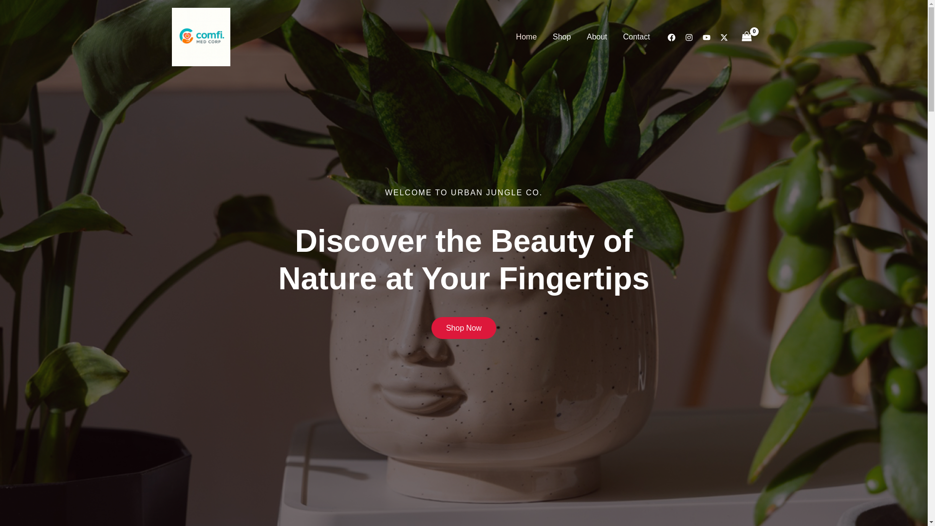website screenshot of https://comfimedcorp.com/