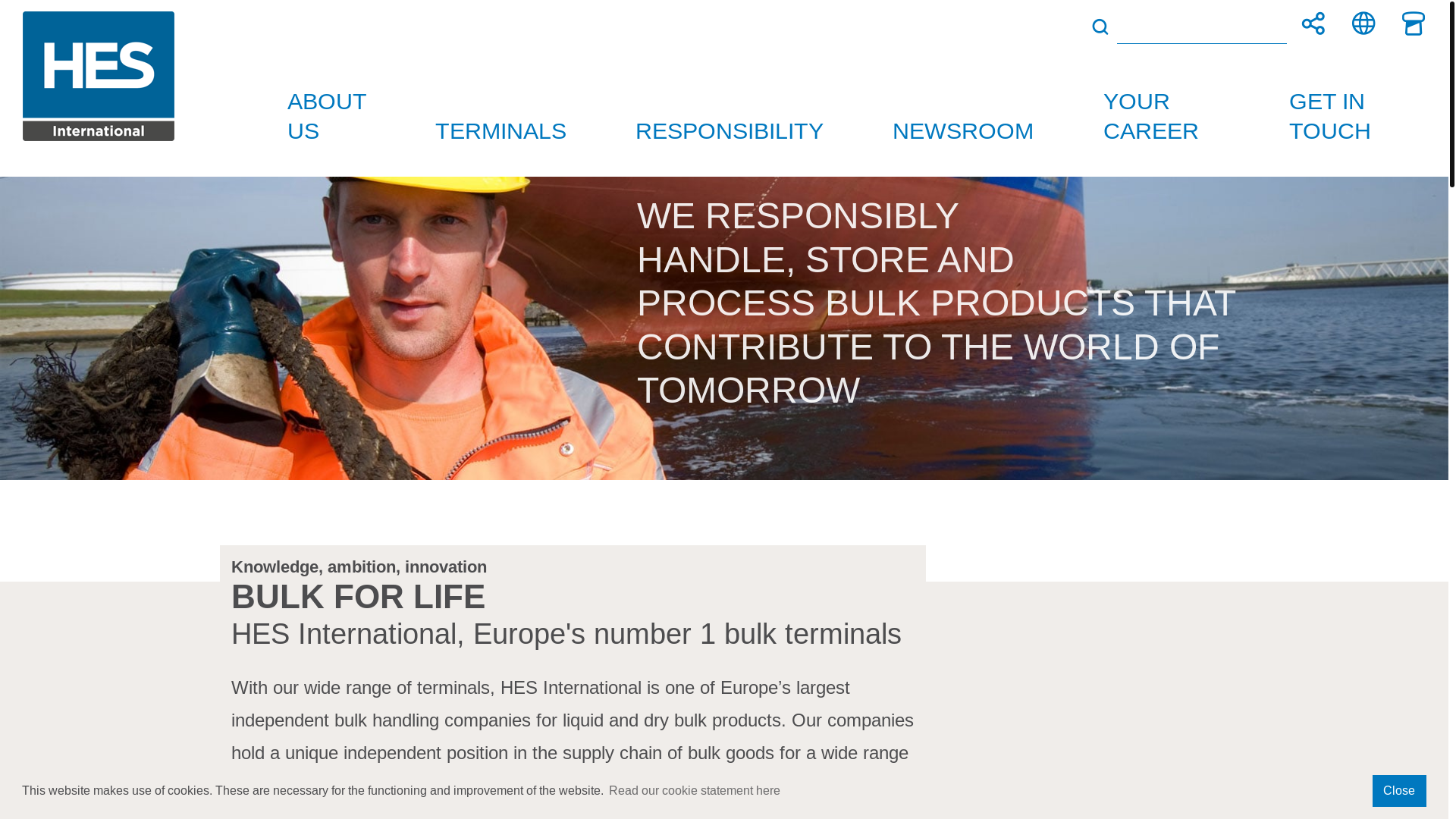 website screenshot of https://www.hesinternational.eu/en/