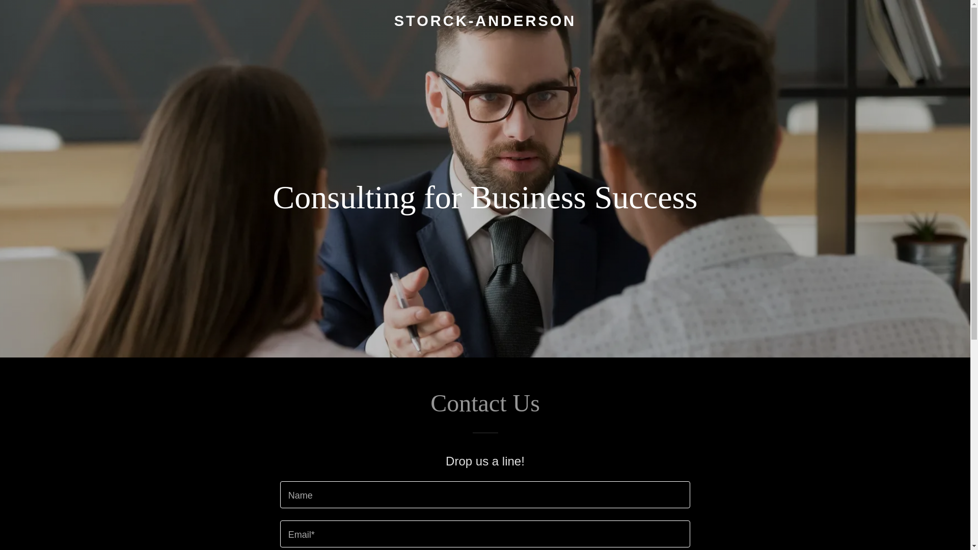 website screenshot of https://storckanderson.com/