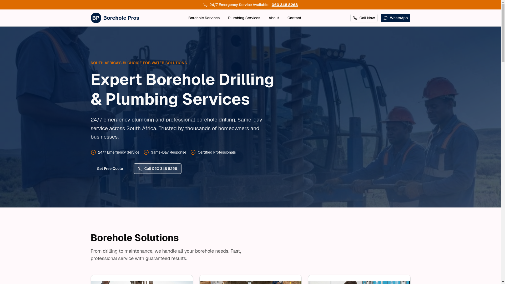 website screenshot of https://boreholepros.co.za/