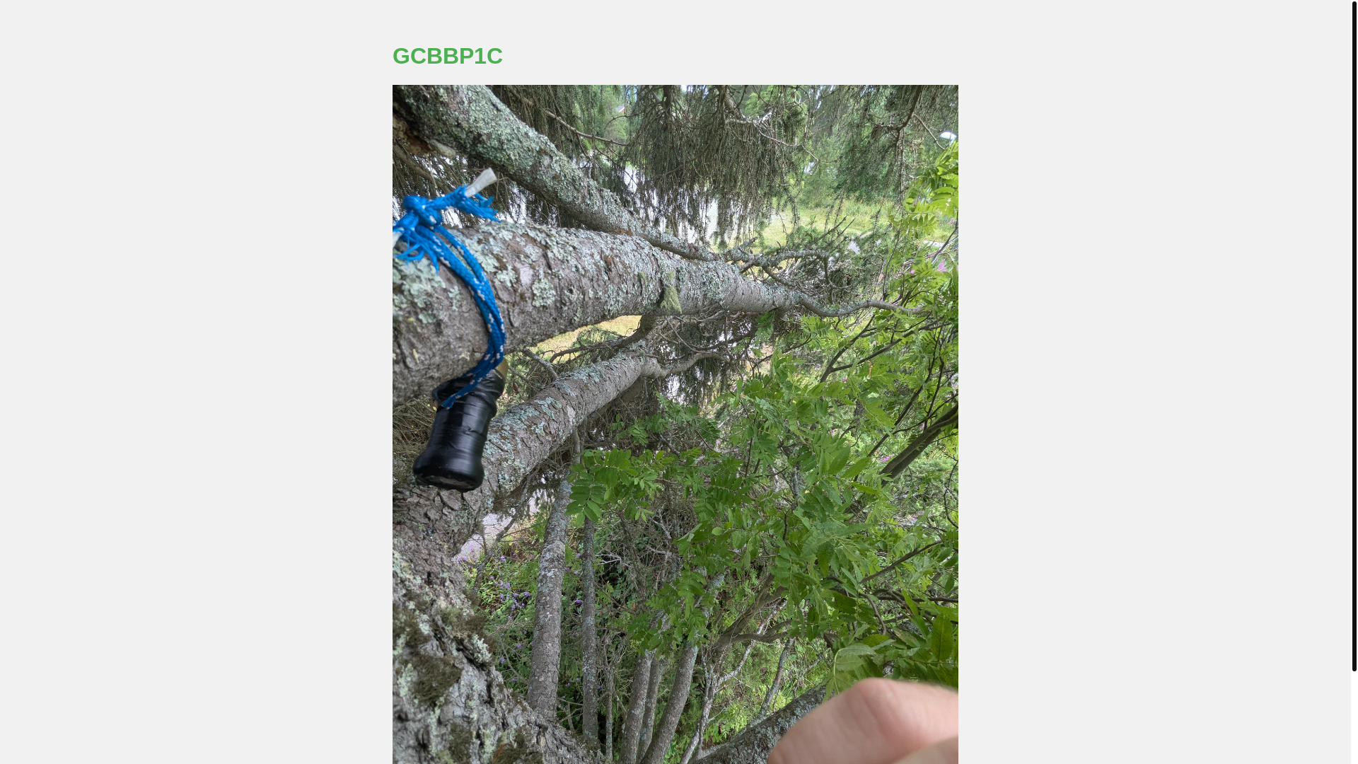 website screenshot of https://geocache-bildmyst.pages.dev/
