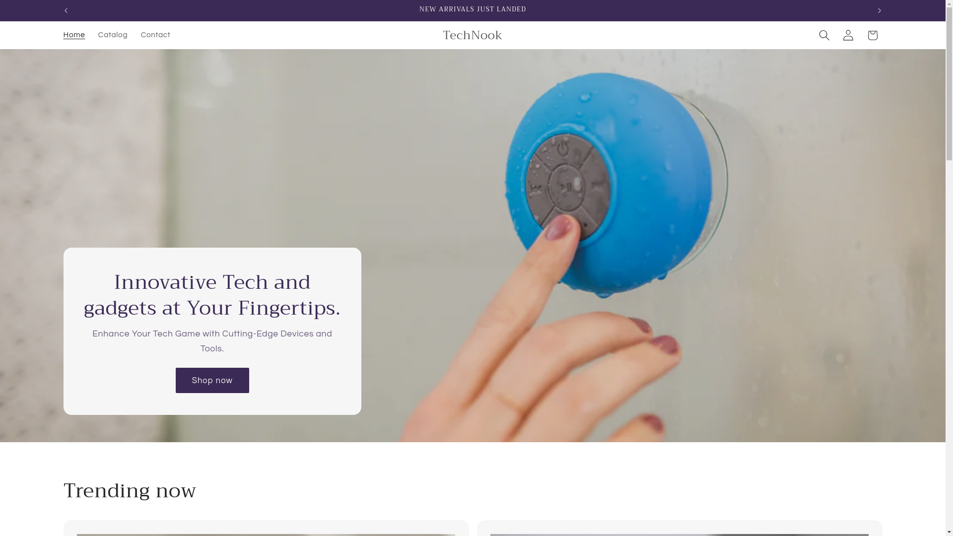 website screenshot of https://tecnook.store/
