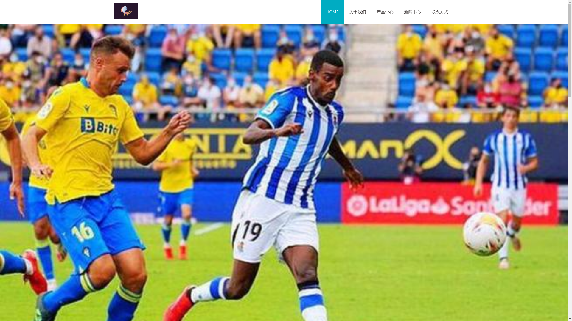 website screenshot of https://world-panda-sports.com/