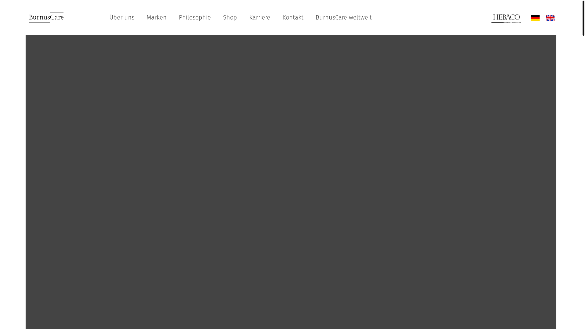 website screenshot of https://takeacliff.de/