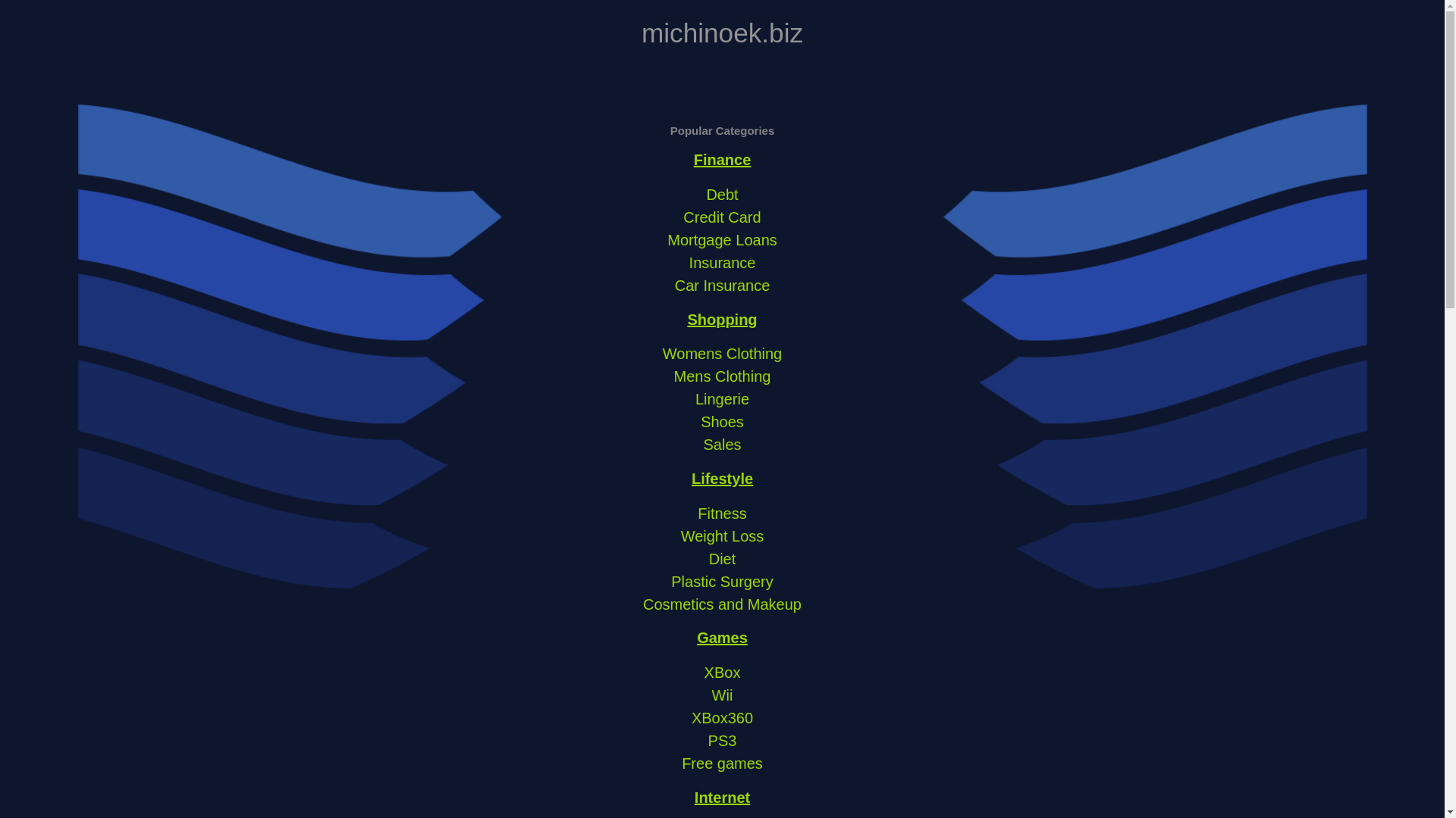 website screenshot of https://michinoek.biz/
