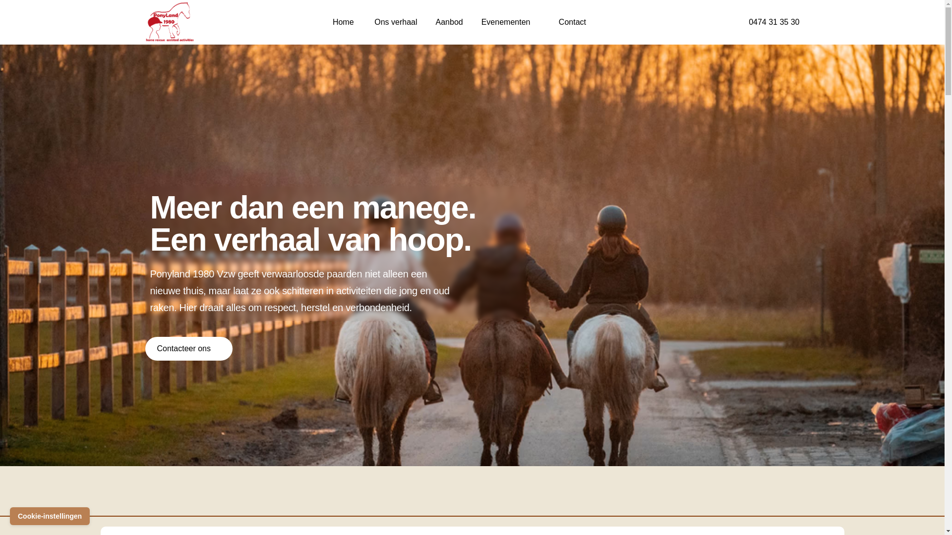 website screenshot of https://ponyland1980.pages.dev/