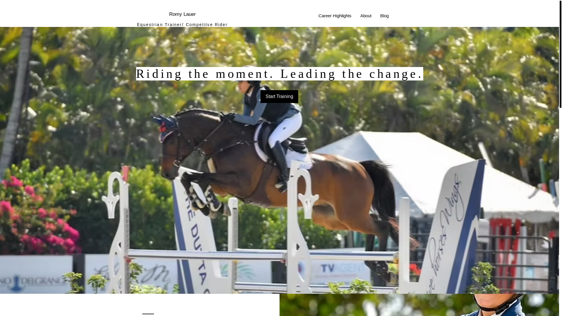 website screenshot of https://romylauer.co/
