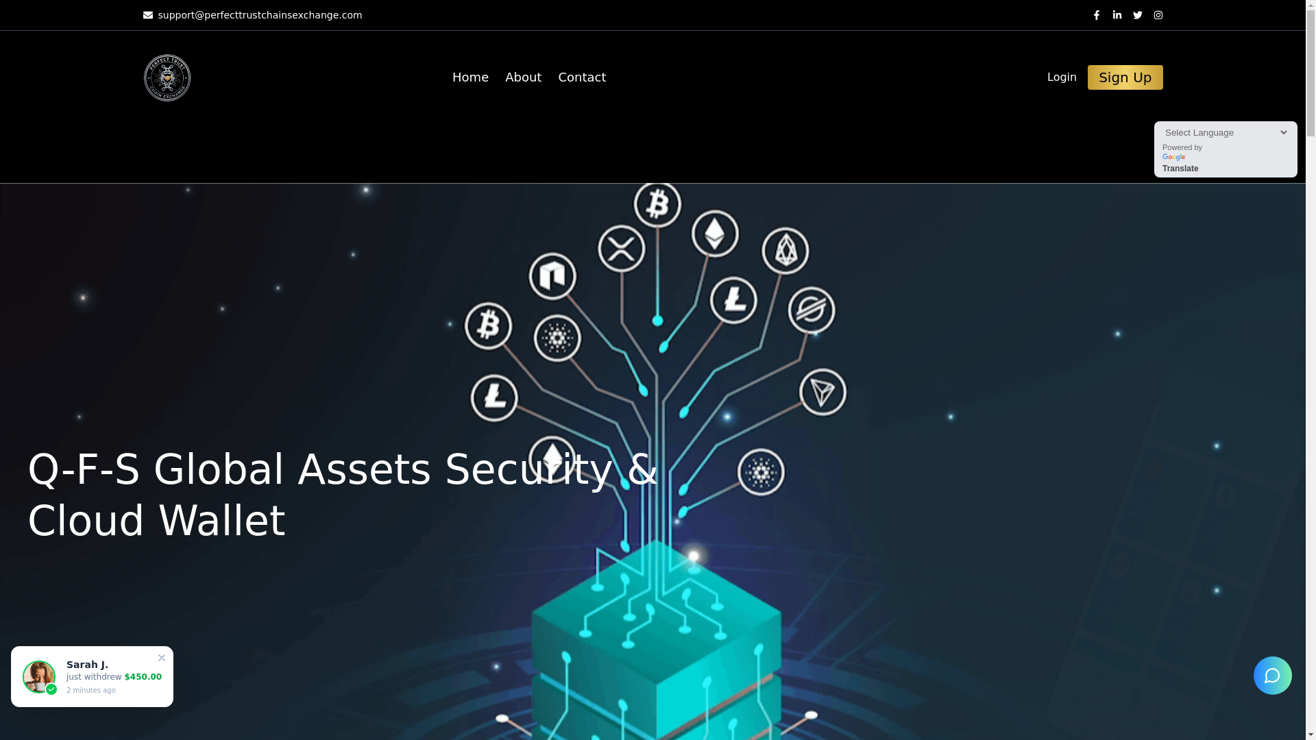 website screenshot of https://perfecttrustchainsexchange.com/