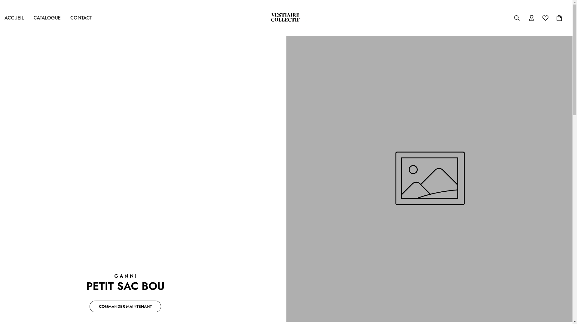website screenshot of https://vestiairecollectif.shop/