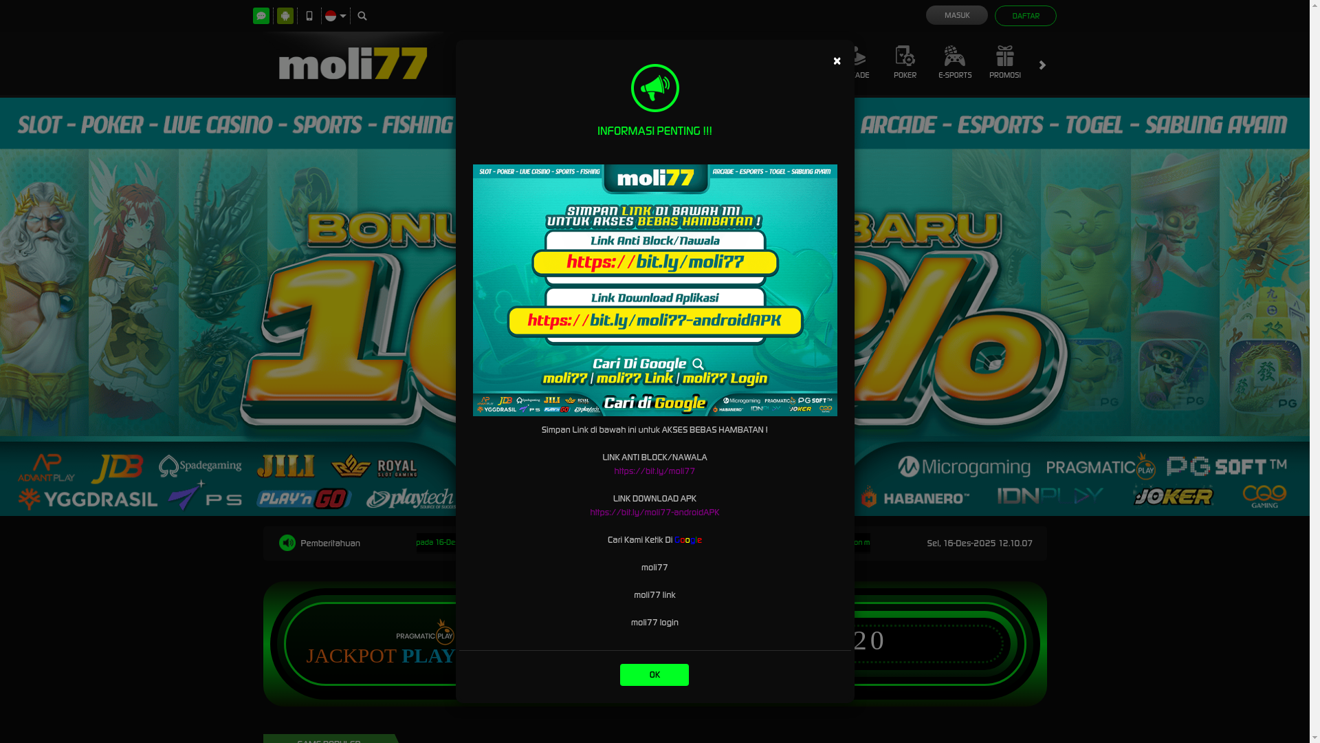 website screenshot of https://moli77-rise.org/
