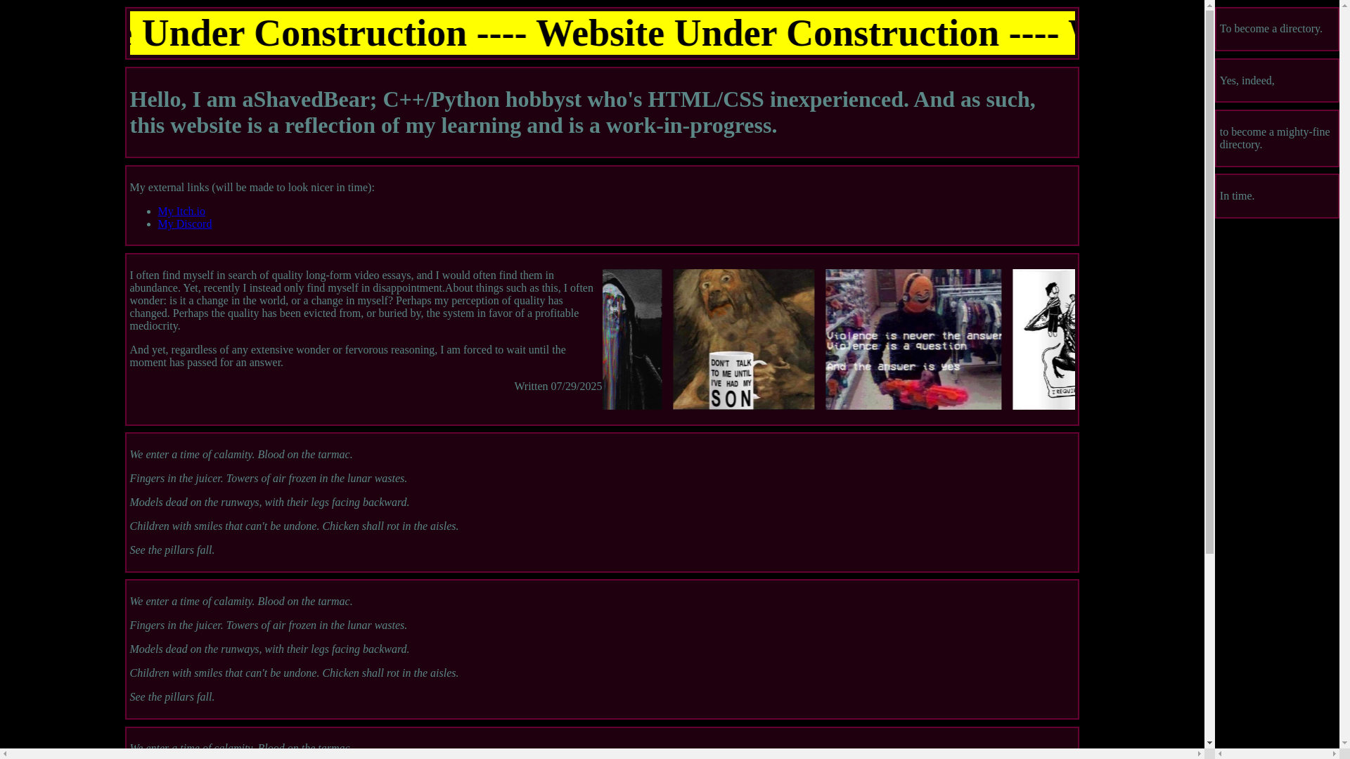 website screenshot of https://ashavedbear.dev/
