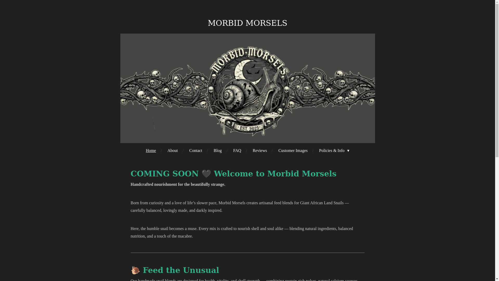 website screenshot of https://slowmunchco.co.uk/