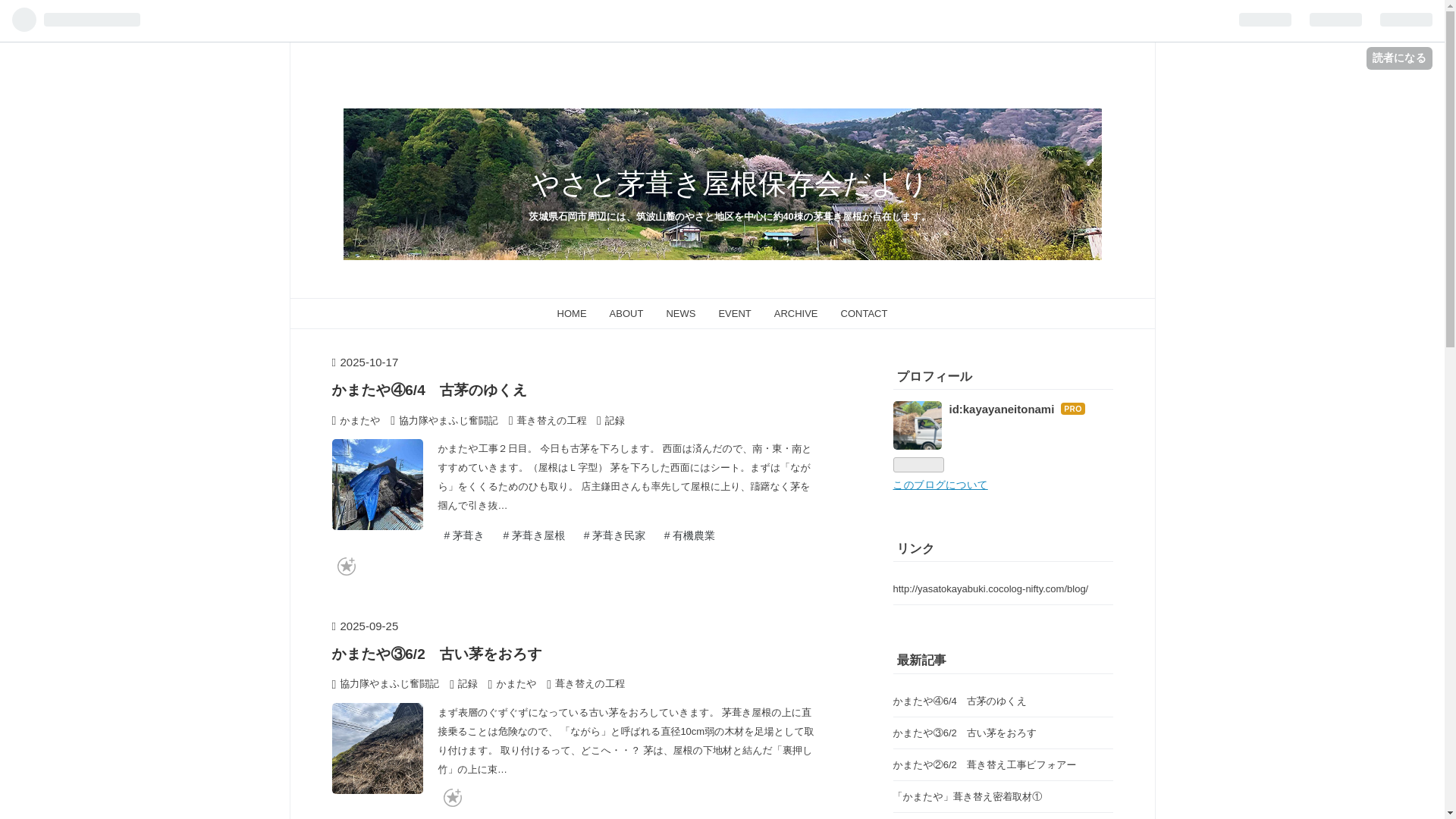 website screenshot of https://kayayane.com/