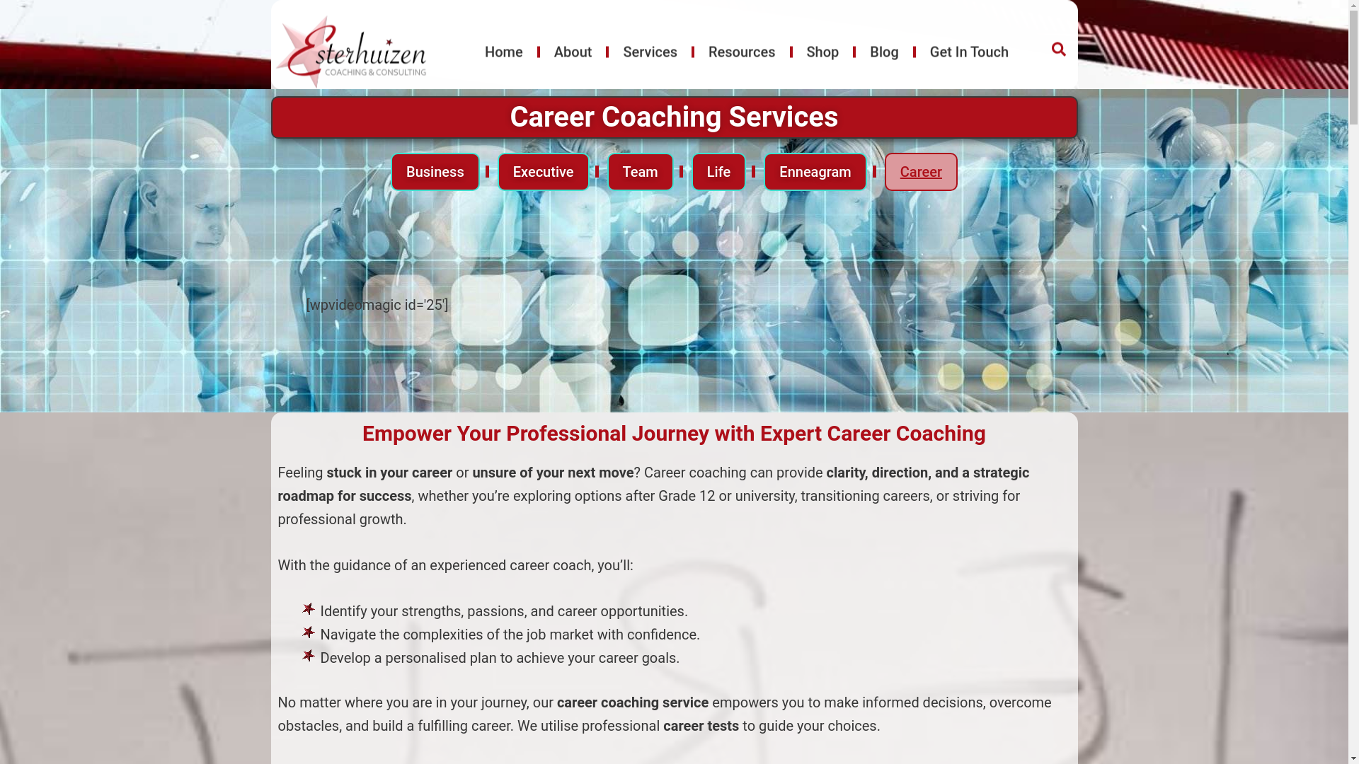 website screenshot of https://careertests.co.za/