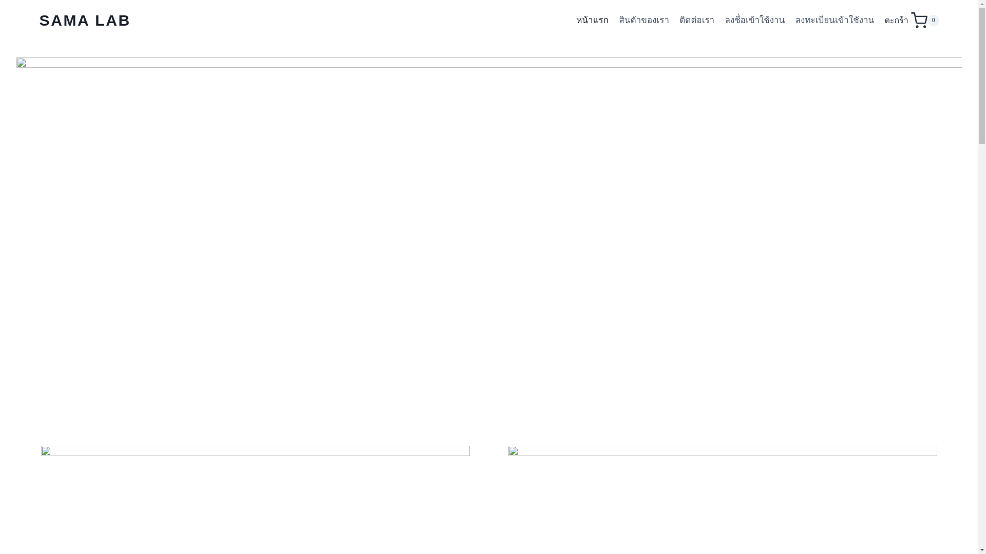 website screenshot of https://samalabth.com/