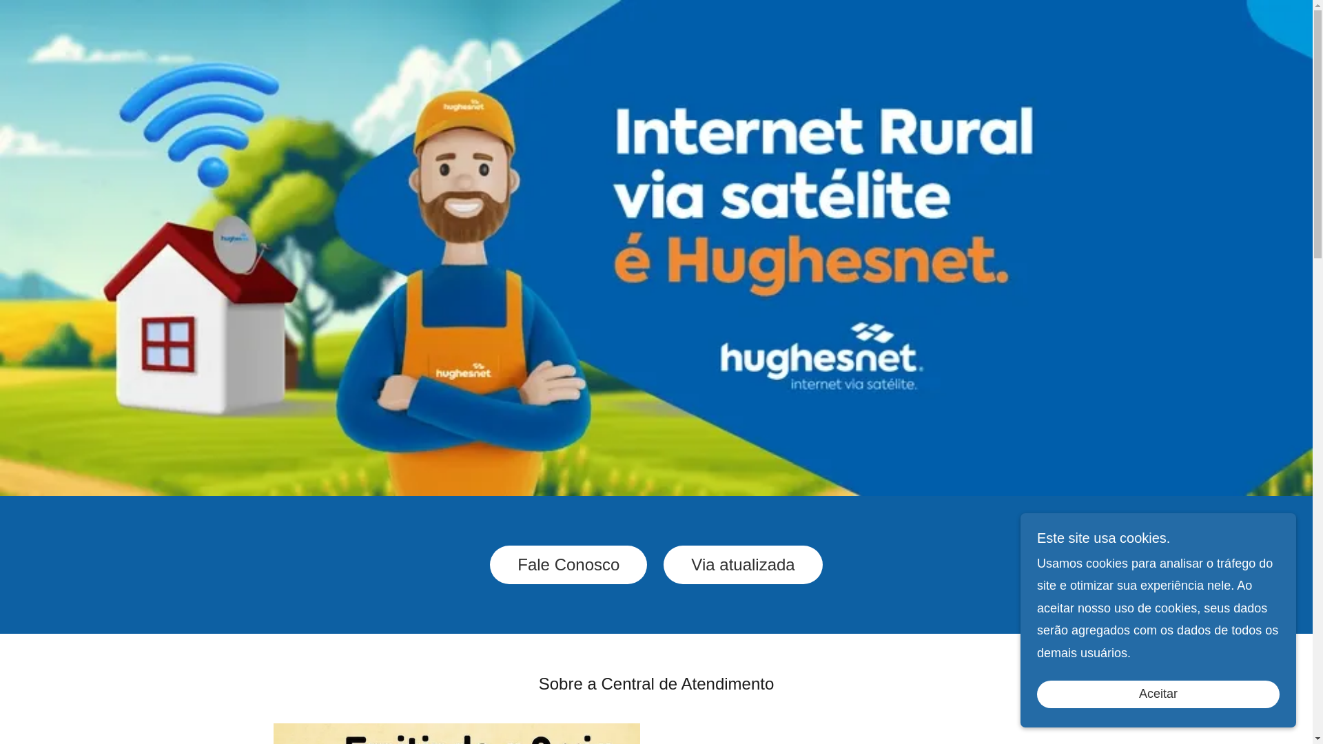 website screenshot of https://atendimentohugnet.online/