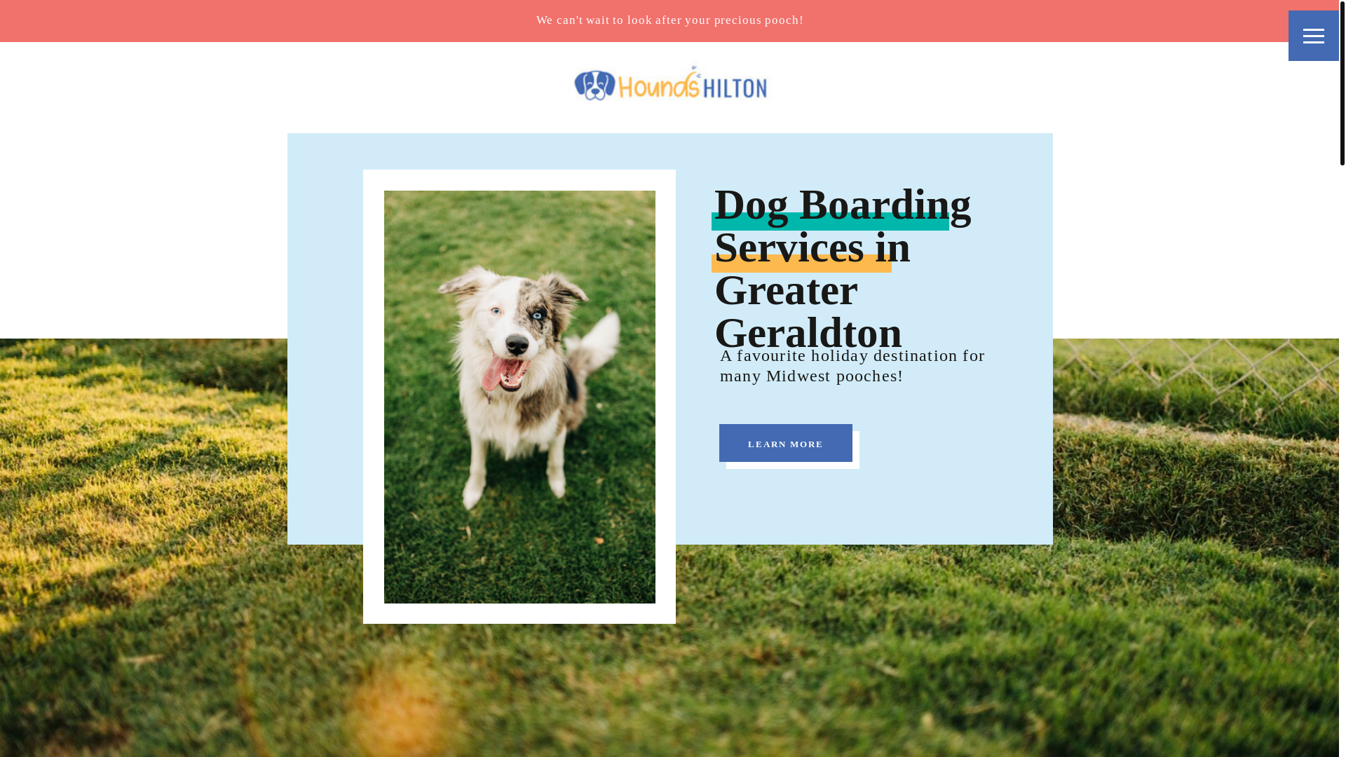 website screenshot of https://houndshilton.online/