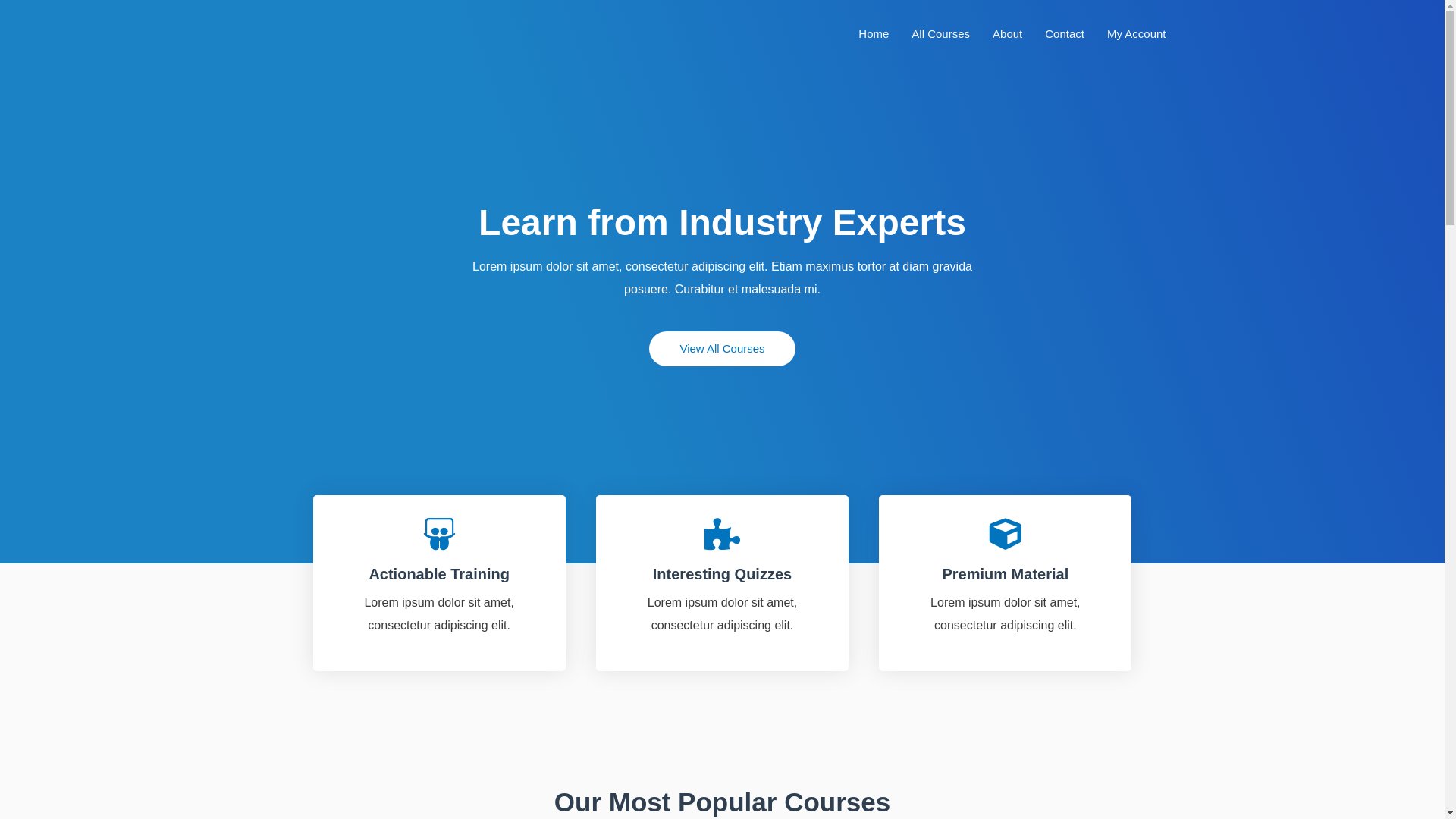 website screenshot of https://examguru.it/