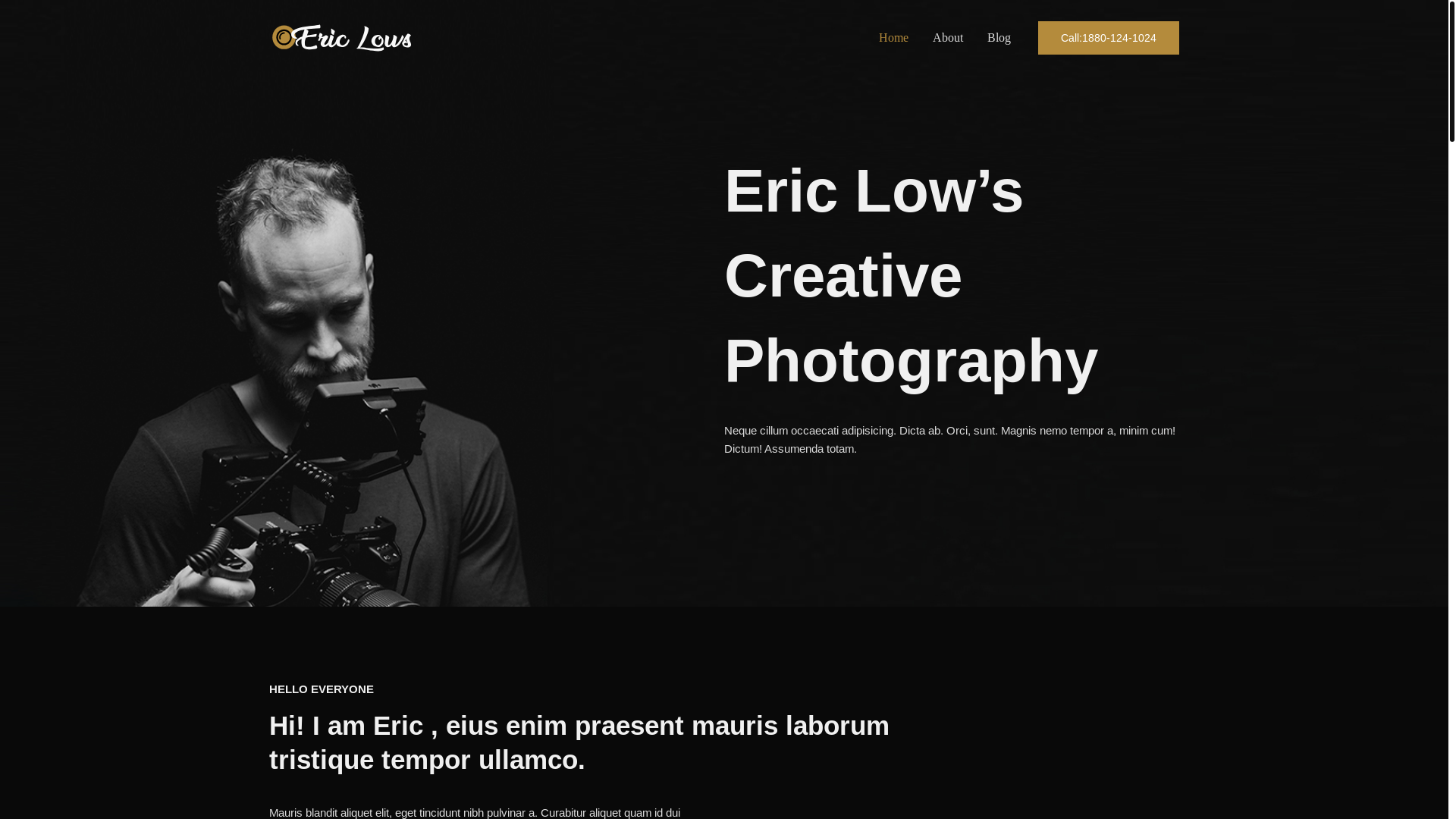 website screenshot of https://metinayvaci.com/