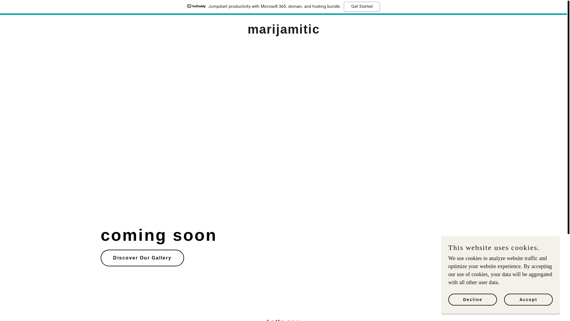 website screenshot of https://marijamitic.info/