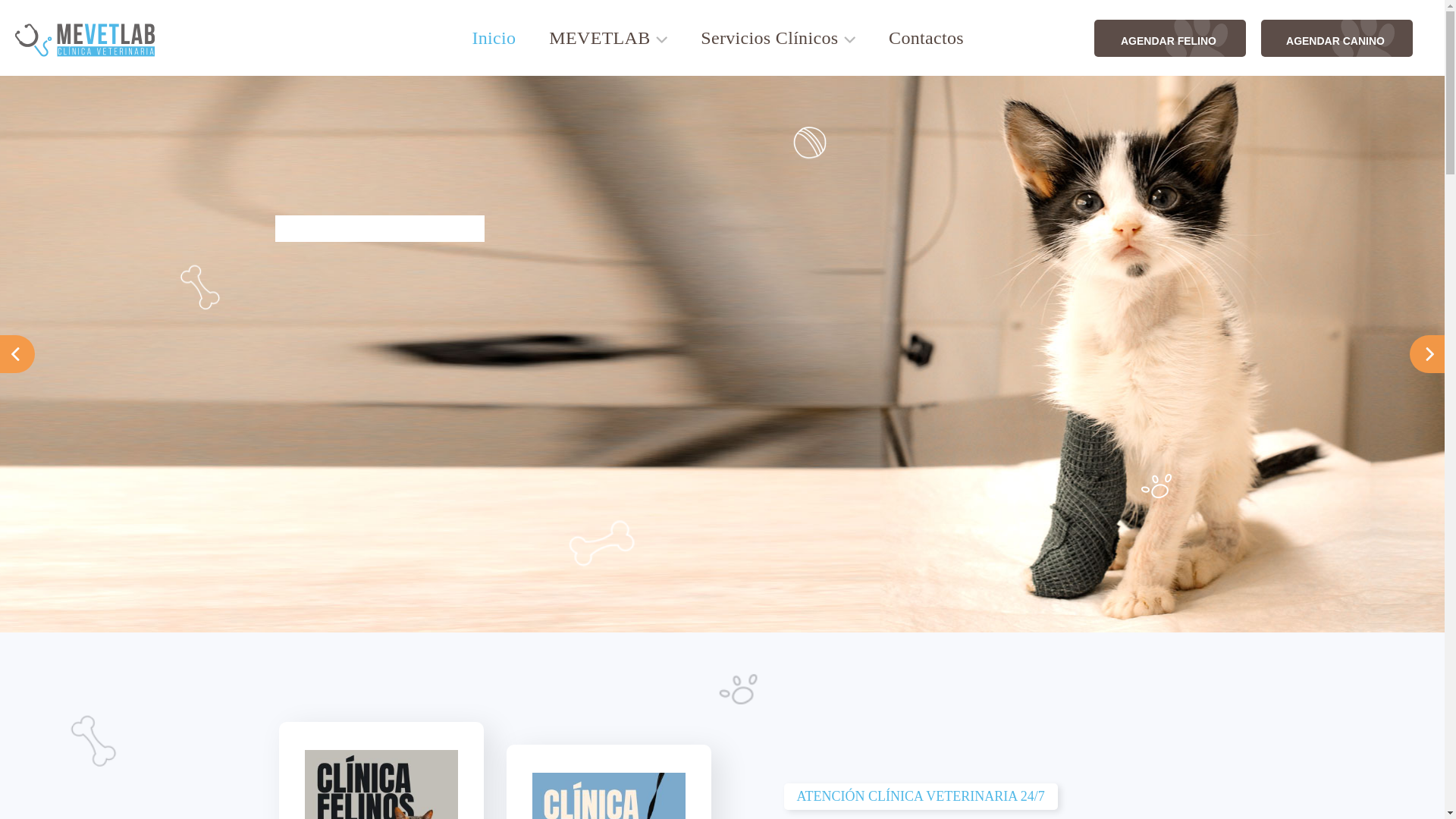 website screenshot of https://www.mevetlab.cl