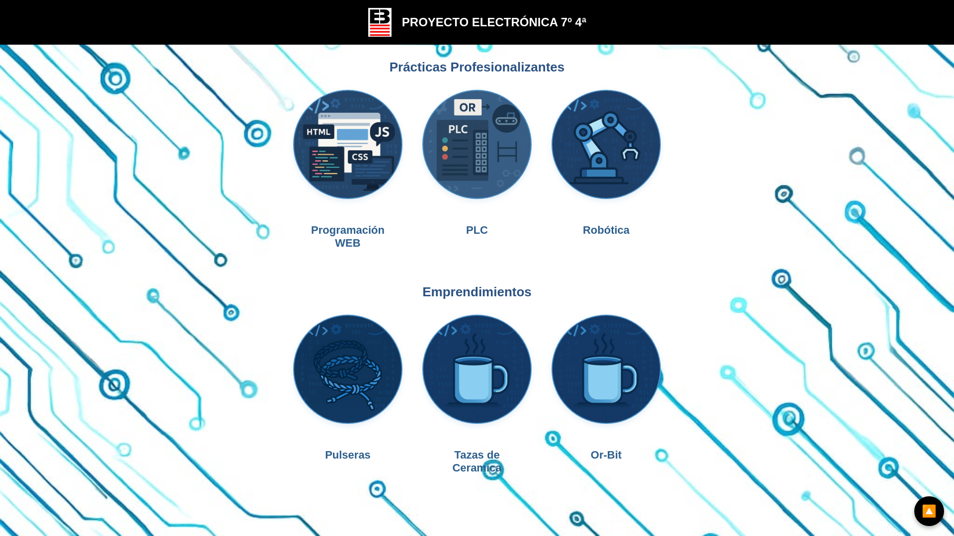 website screenshot of https://proyectosboeroar.pages.dev/
