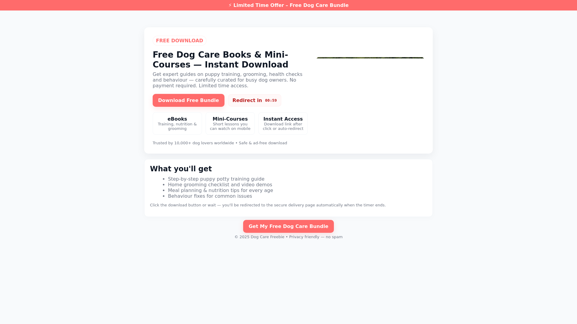 website screenshot of https://dogreaction.pages.dev/