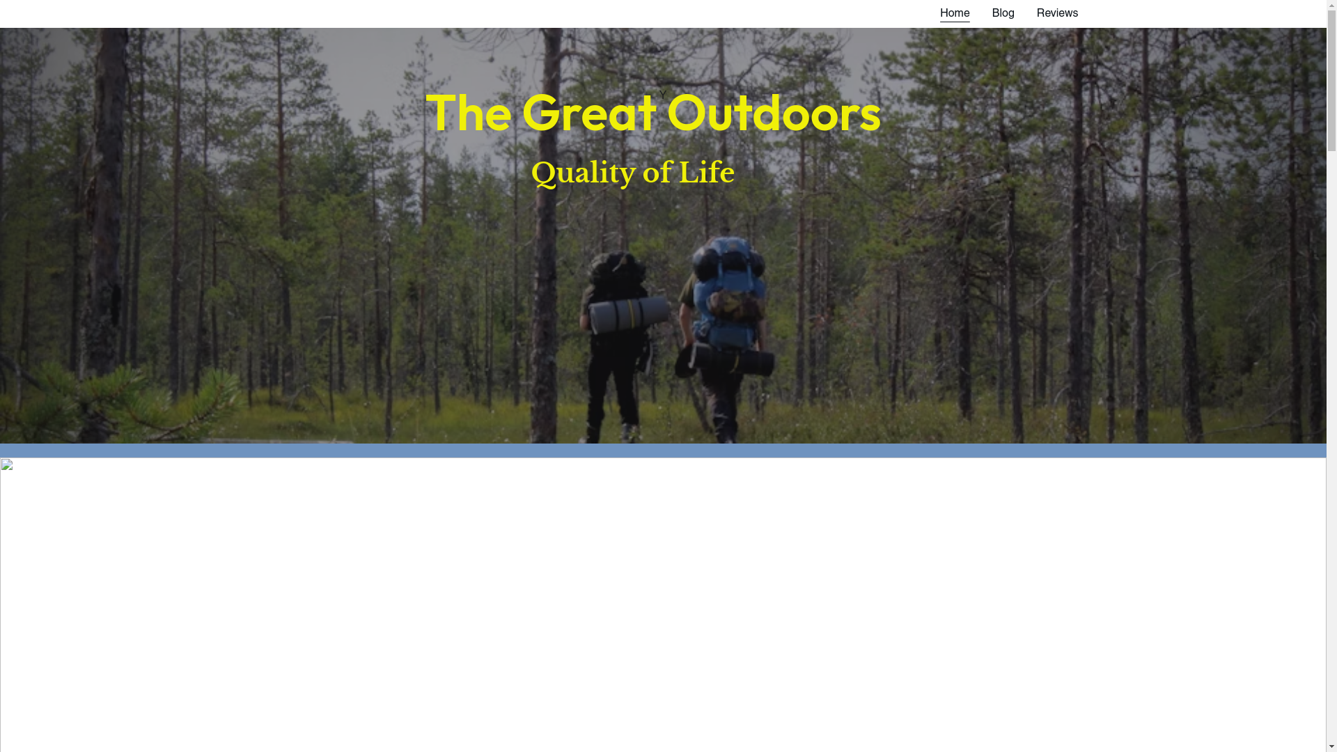website screenshot of https://dentalhealthotc.com/