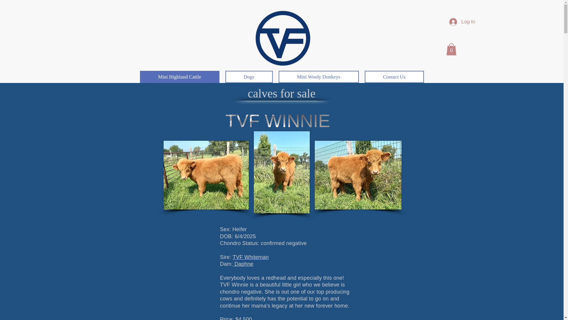 website screenshot of https://tendervalleyfarm.com/