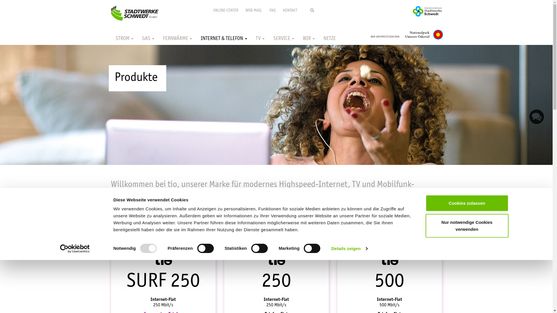 website screenshot of https://tio-internet.de/